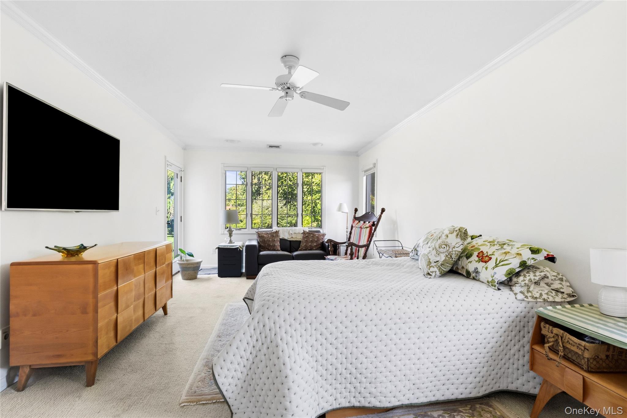 Single Family Ocean Avenue  Nassau County, NY 11758, MLS-1044468-15