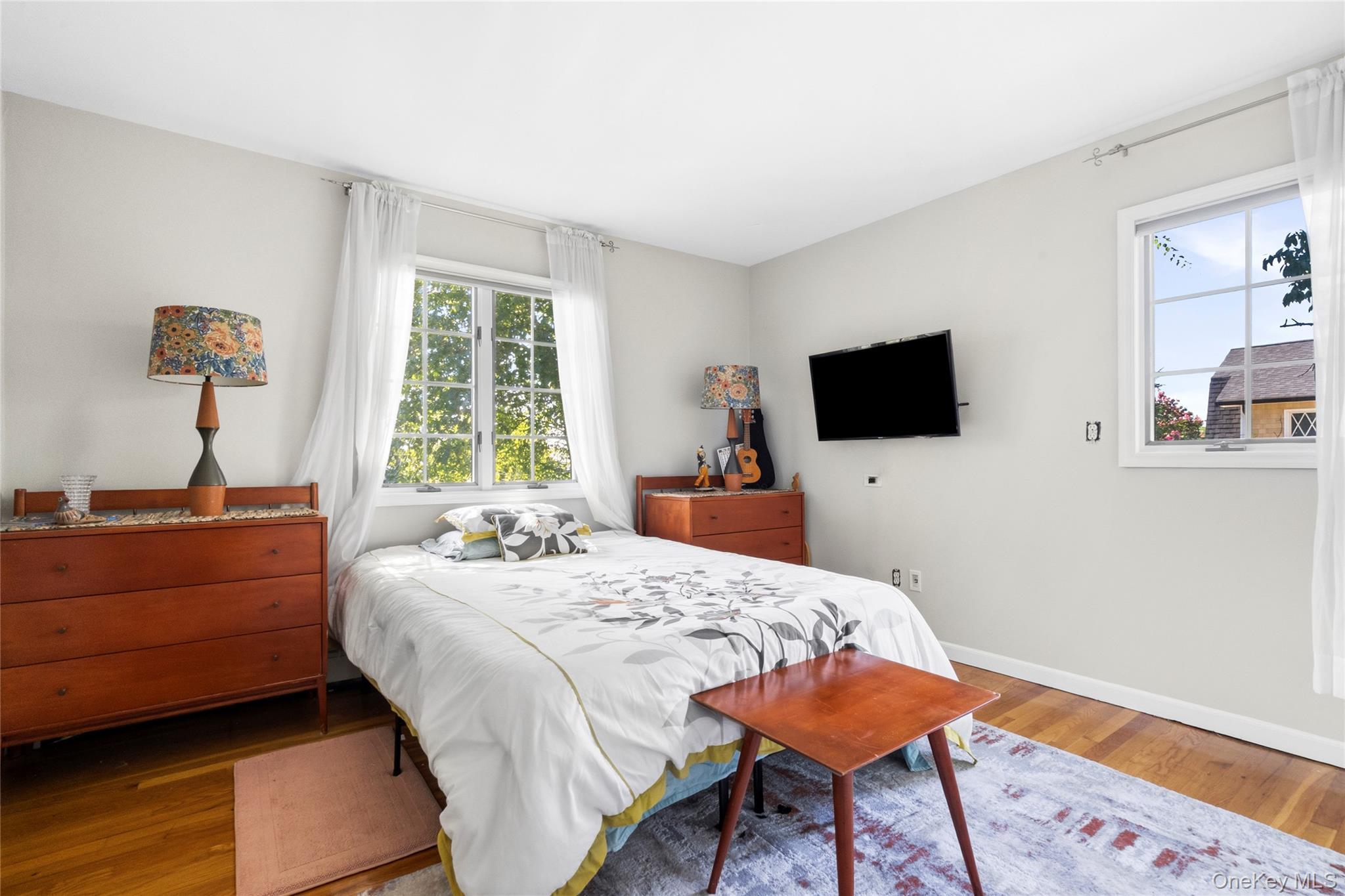 Single Family Ocean Avenue  Nassau County, NY 11758, MLS-1044468-19