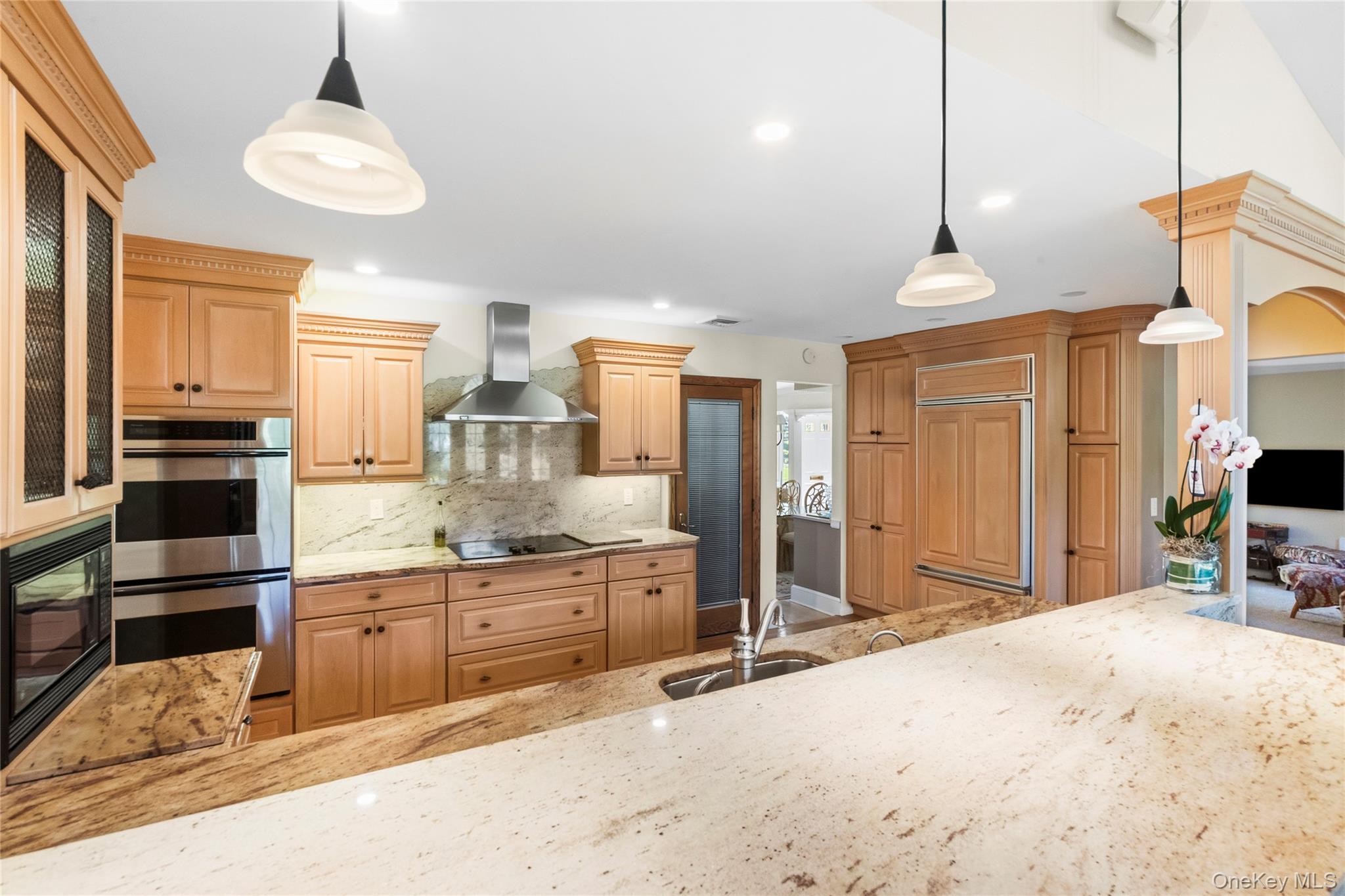 Single Family Ocean Avenue  Nassau County, NY 11758, MLS-1044468-6