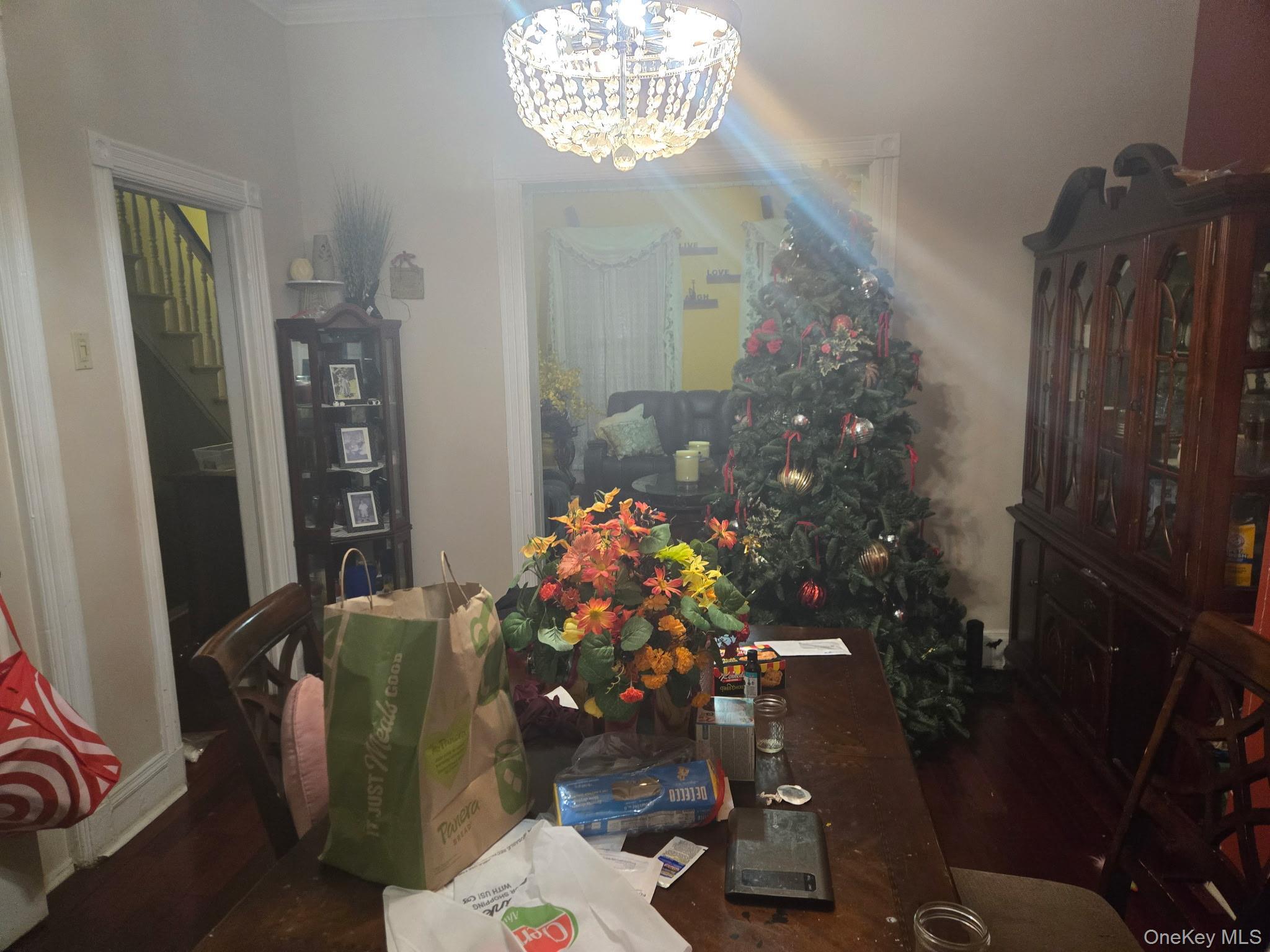 Single Family Jerome Street Brooklyn, NY 11207, MLS-1044493-6
