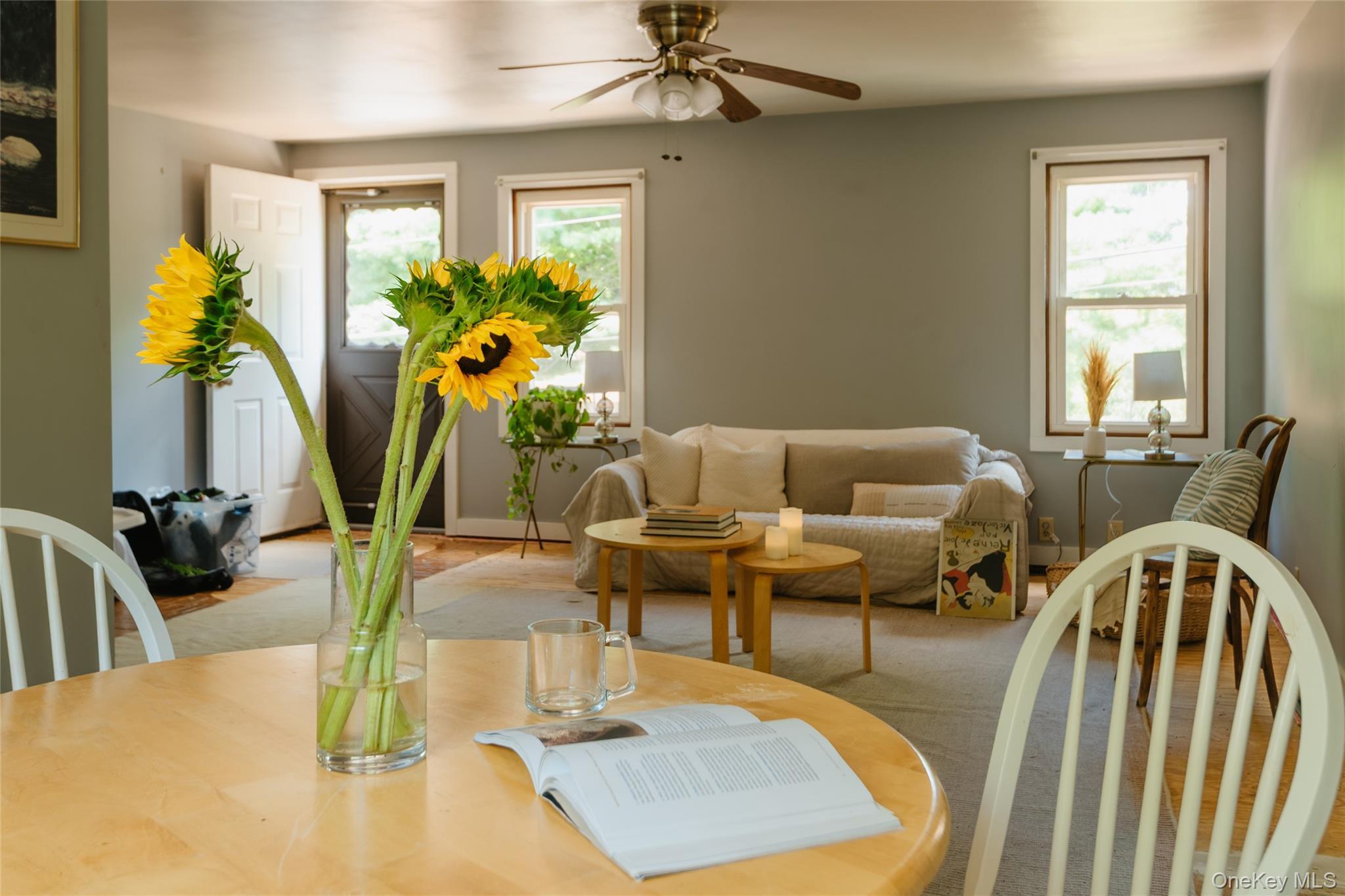 Single Family Lake Amenia Road Dutchess County, NY 12501, MLS-1044571-6
