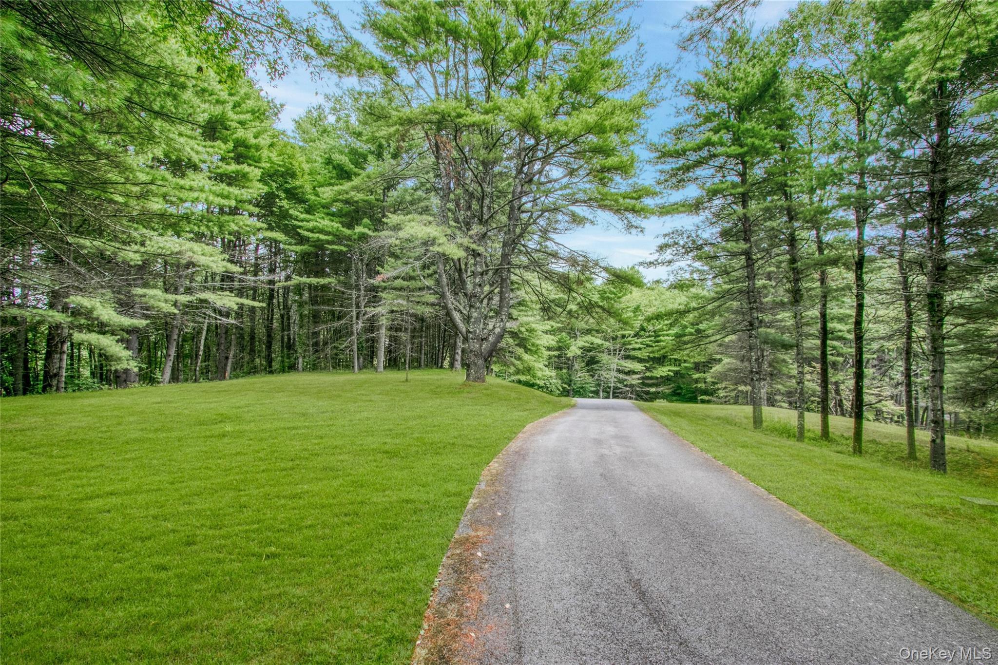 Single Family Starlight Road  Sullivan County, NY 12701, MLS-1044572-31