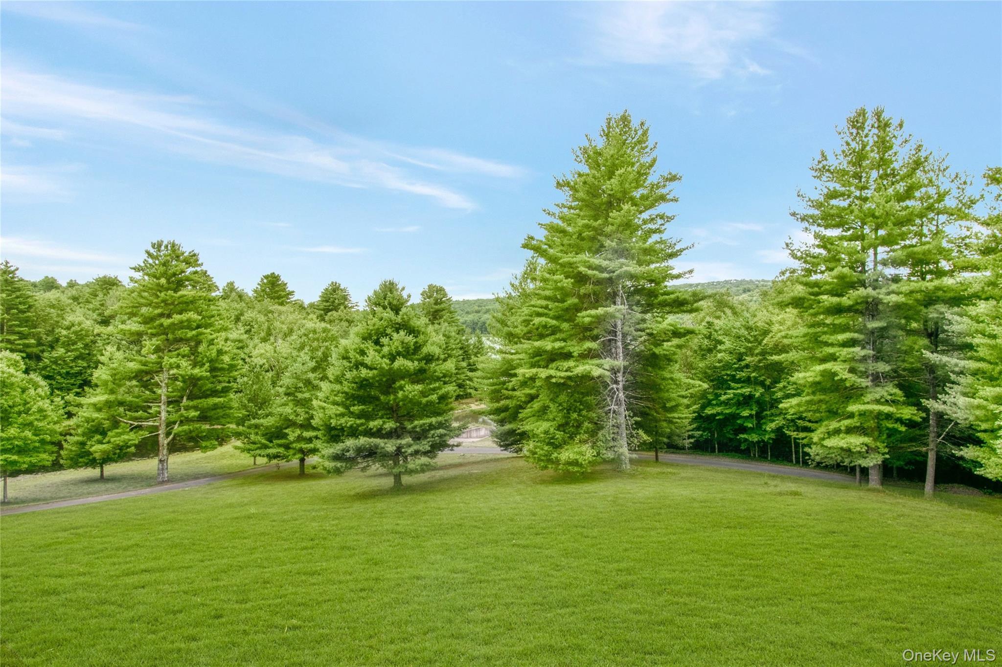 Single Family Starlight Road  Sullivan County, NY 12701, MLS-1044572-33