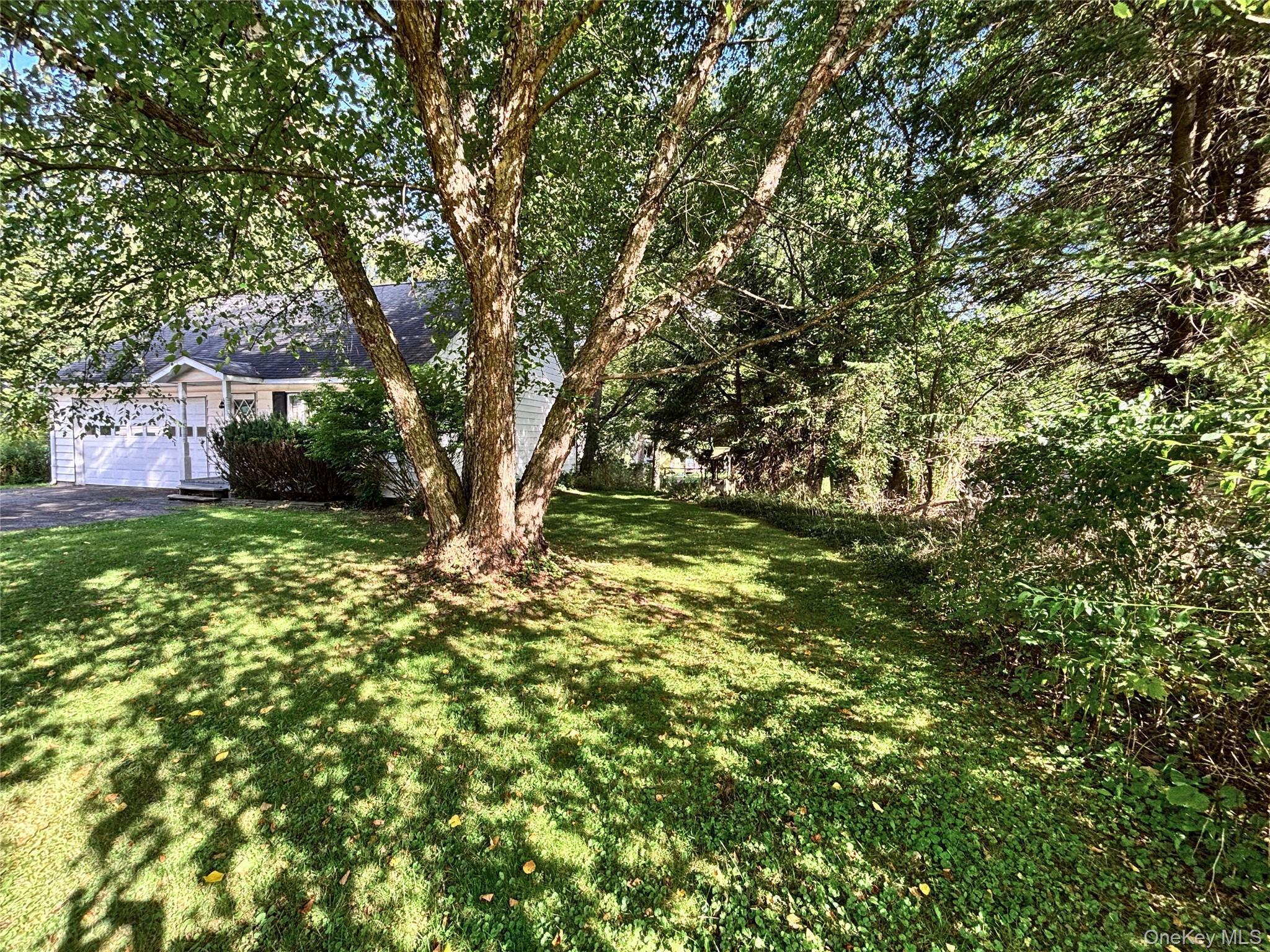 Single Family Main Street Delaware County, NY 13753, MLS-1044576-39
