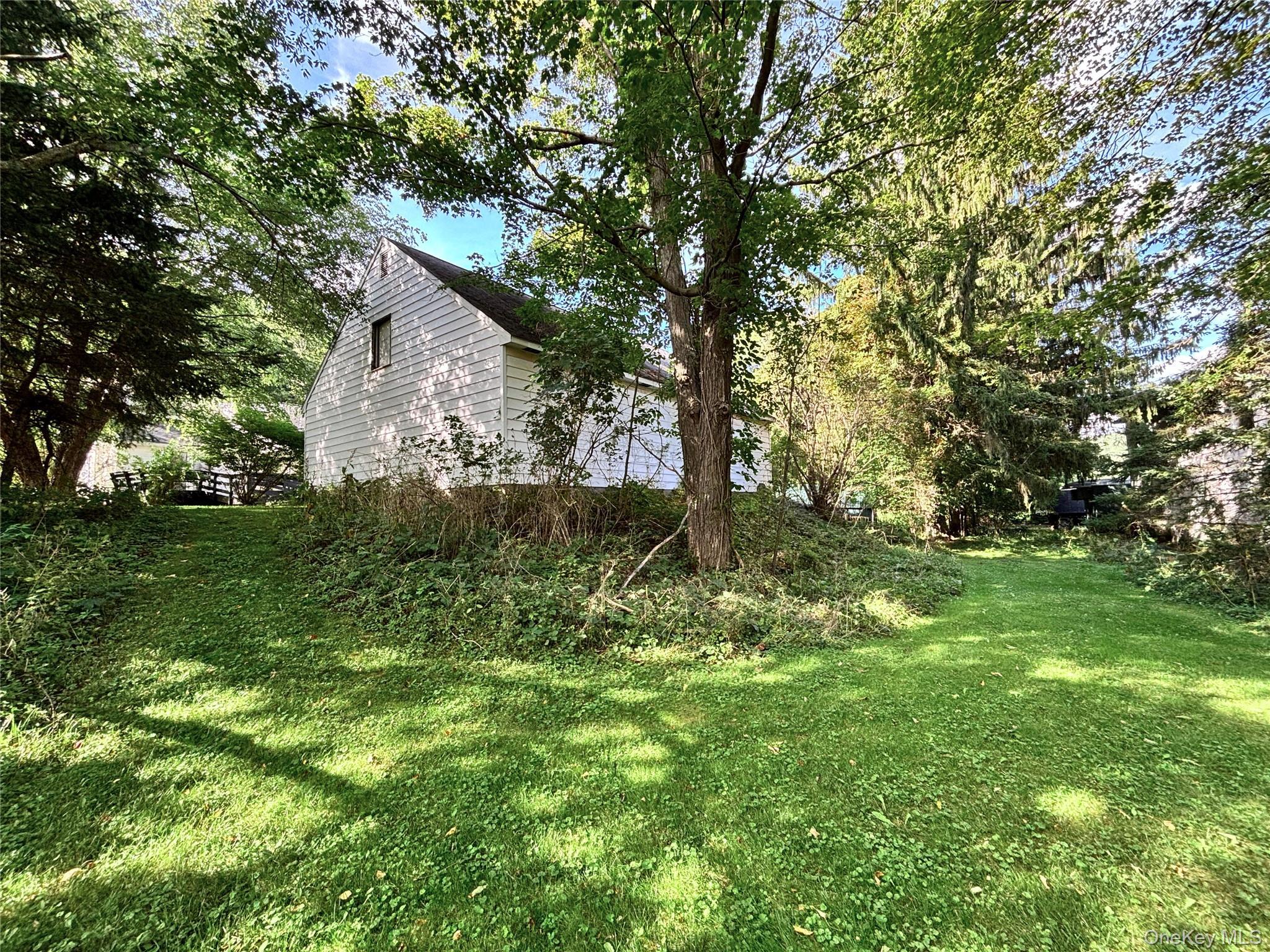Single Family Main Street Delaware County, NY 13753, MLS-1044576-43