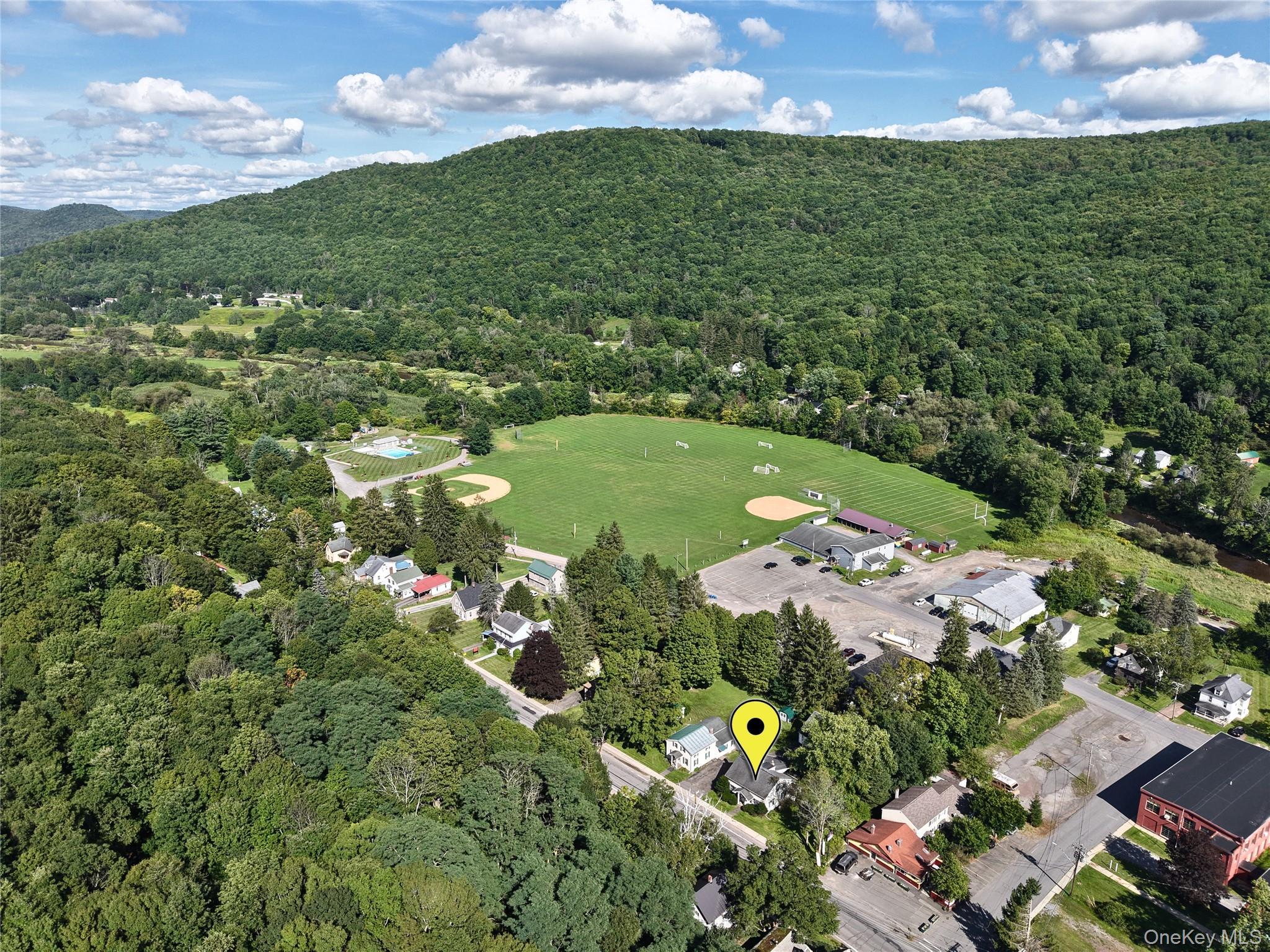 Single Family Main Street Delaware County, NY 13753, MLS-1044576-46