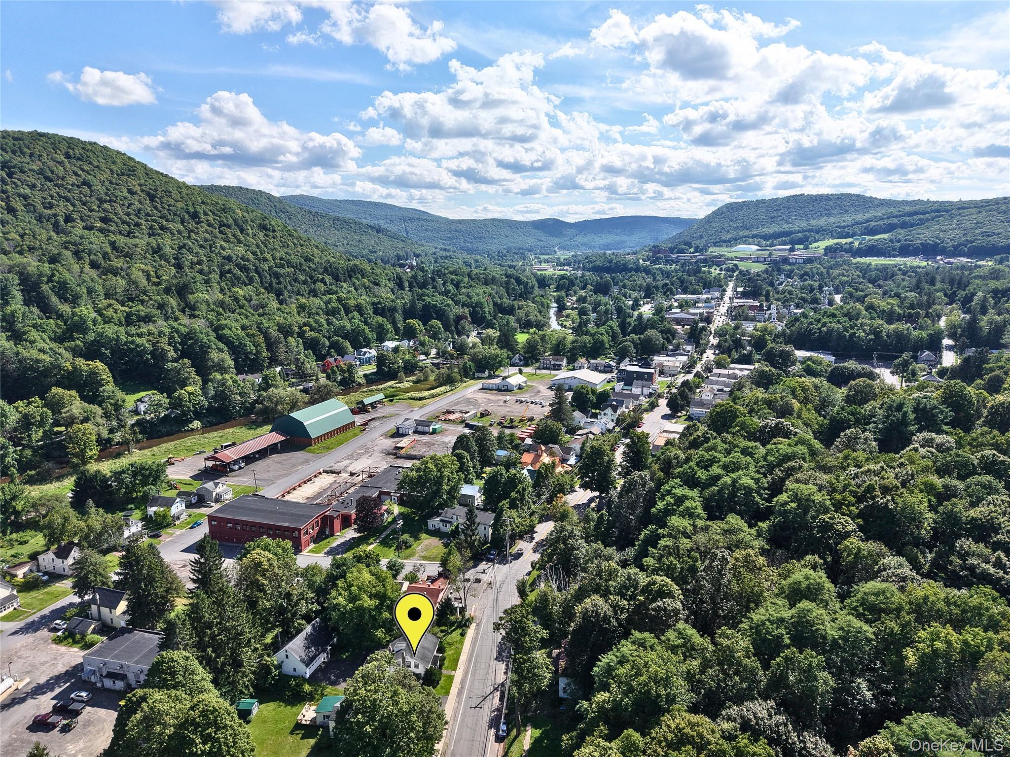 Single Family Main Street Delaware County, NY 13753, MLS-1044576-47