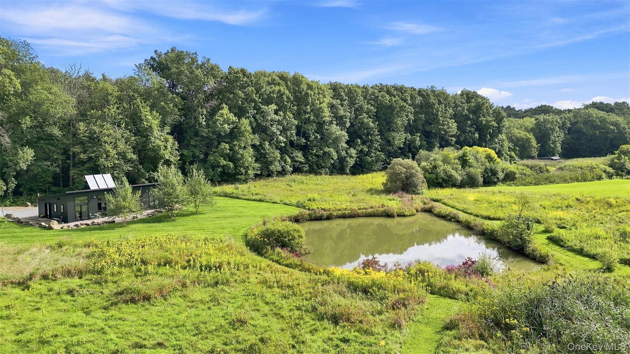 Single Family Silver Lane  Dutchess County, NY 12571, MLS-1044691-2