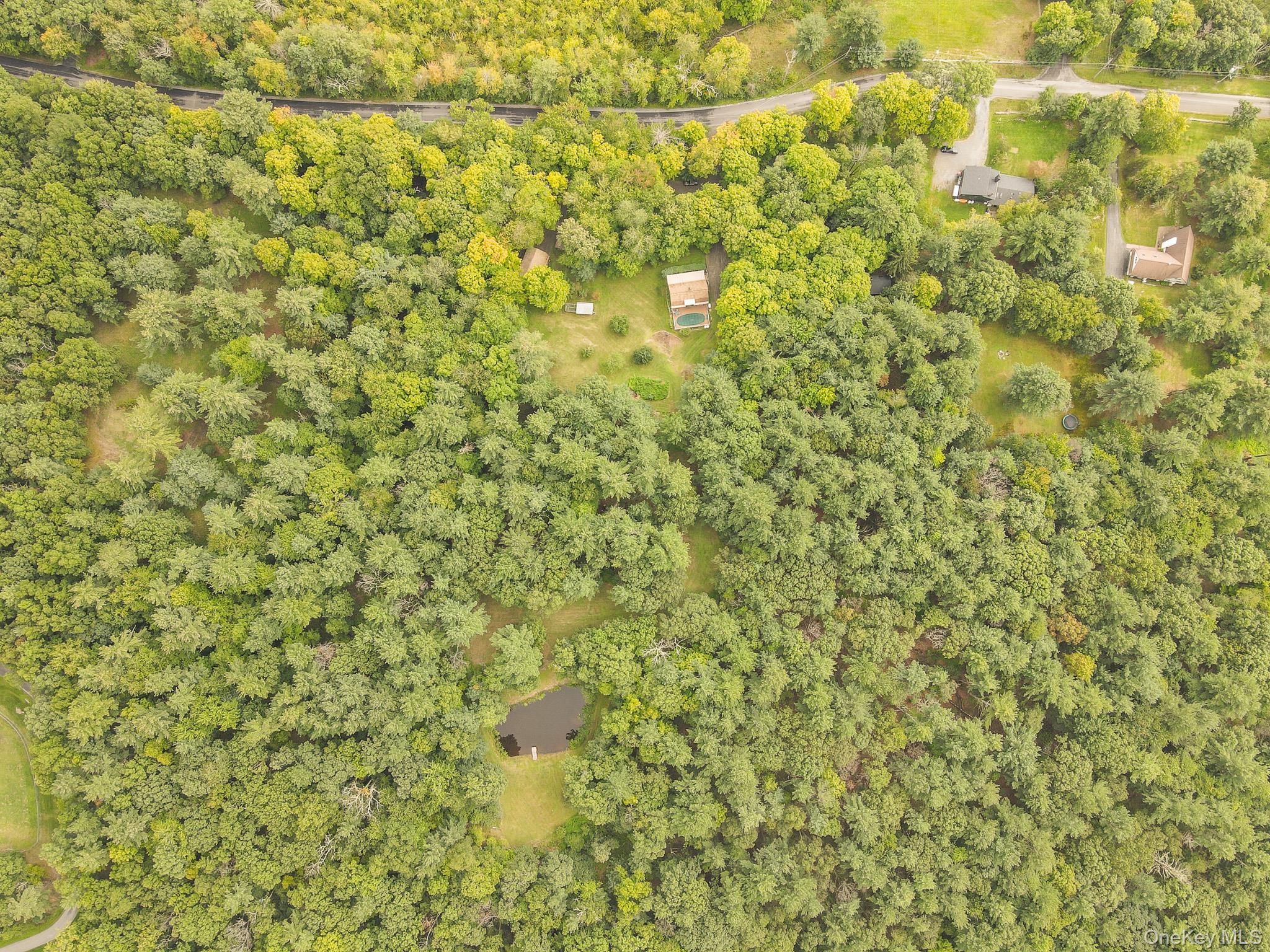 Single Family Mountain View Road Dutchess County, NY 12572, MLS-1044719-10