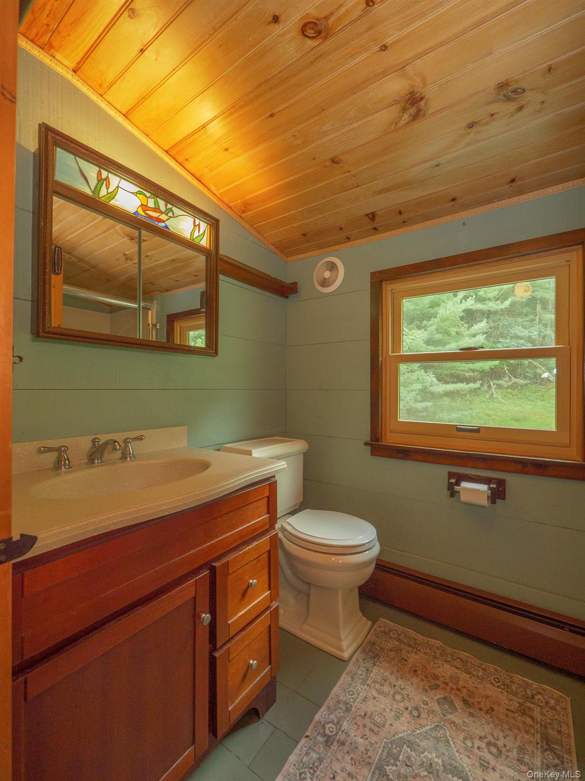 Single Family Mountain View Road Dutchess County, NY 12572, MLS-1044719-19