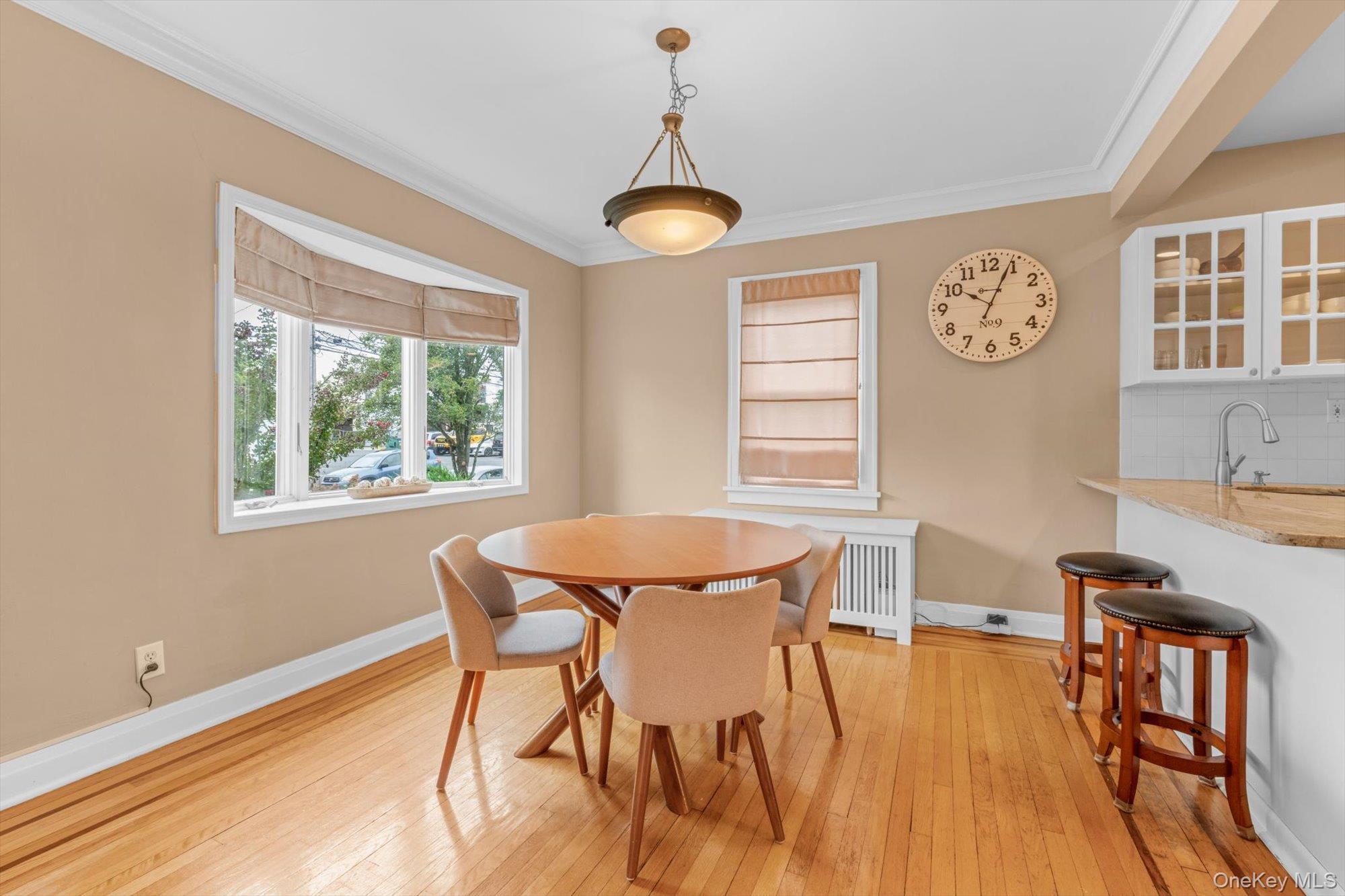 Single Family Hampton Avenue  Nassau County, NY 11507, MLS-1044734-6