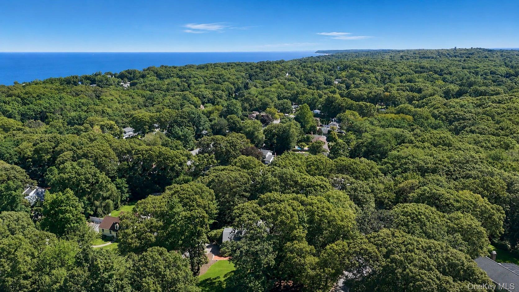 Single Family Westchester Drive  Suffolk County, NY 11778, MLS-1044746-49