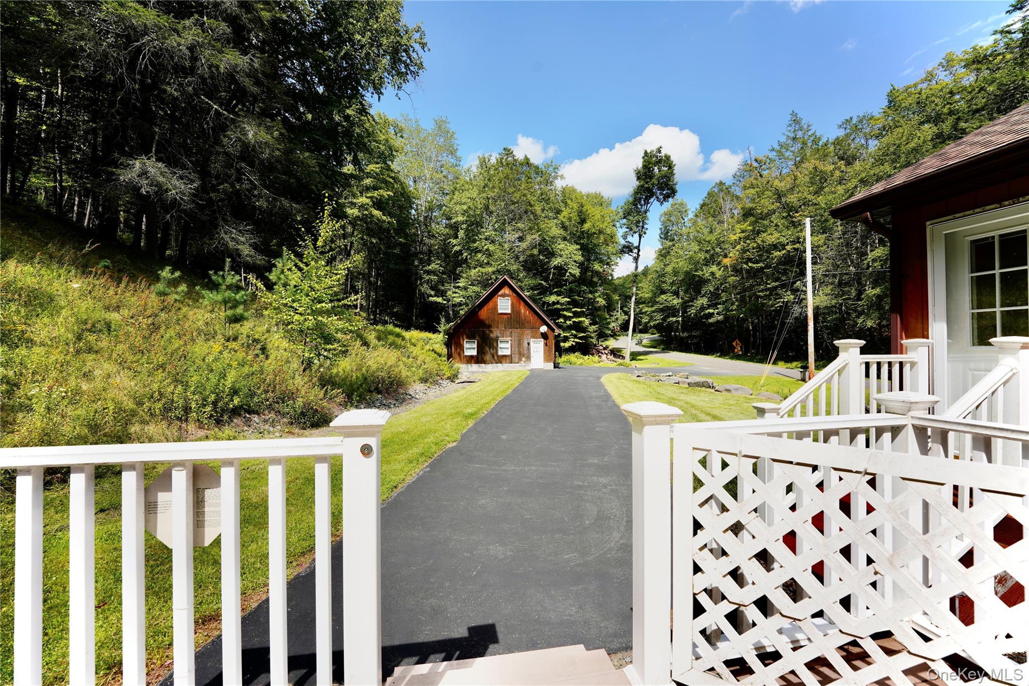Single Family Pepacton Hollow Road Sullivan County, NY 12740, MLS-1044779-17