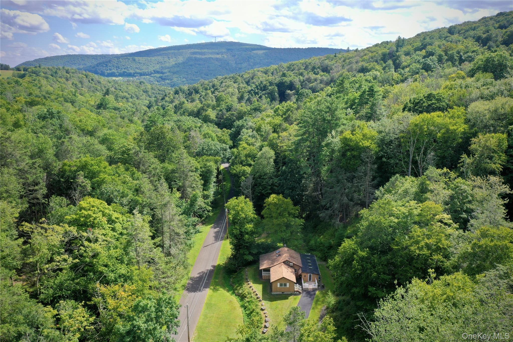 Single Family Pepacton Hollow Road Sullivan County, NY 12740, MLS-1044779-3