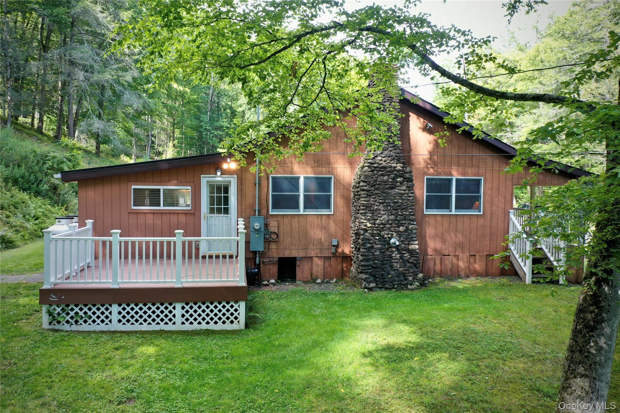 Single Family Pepacton Hollow Road Sullivan County, NY 12740, MLS-1044779-4
