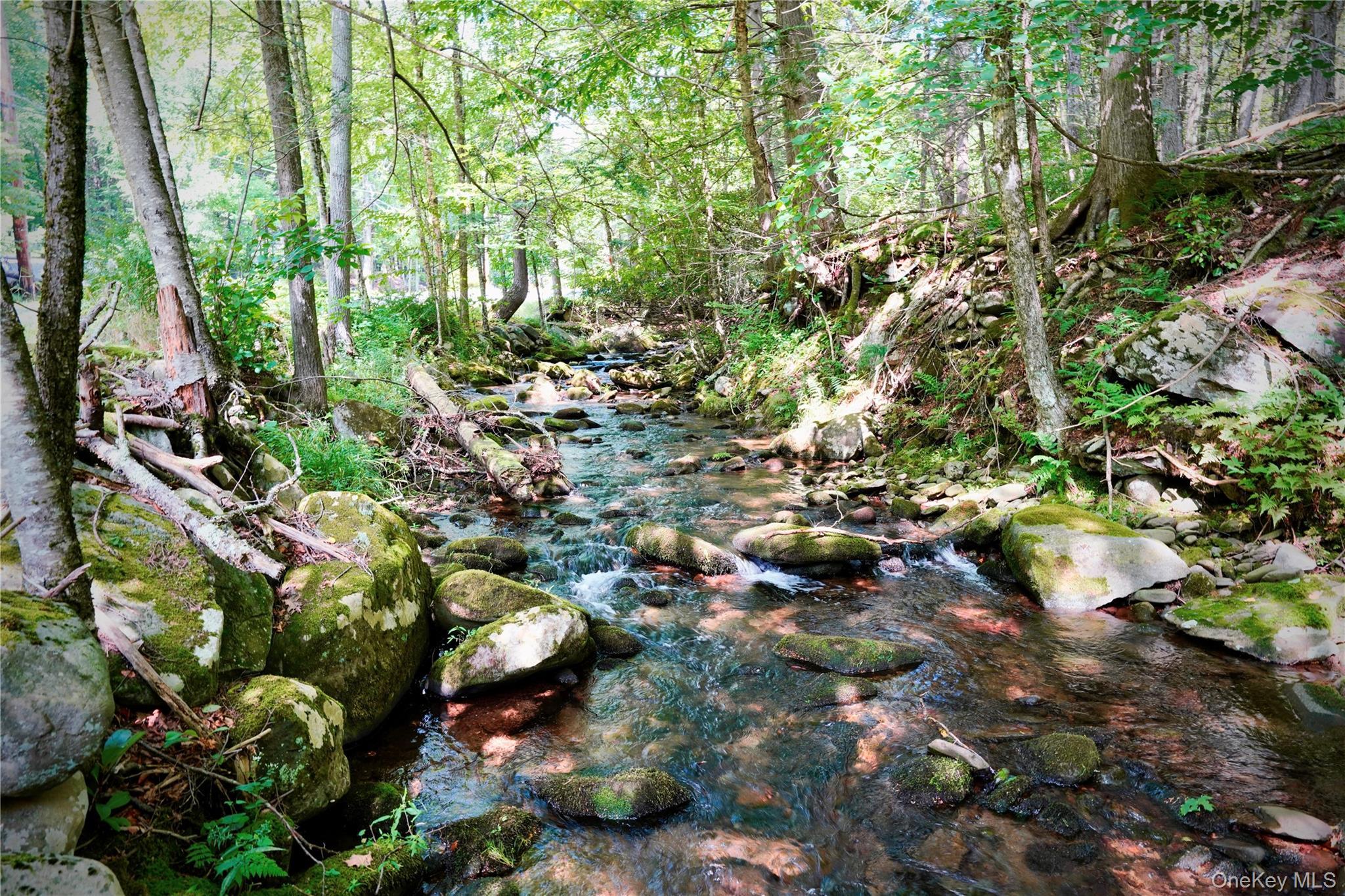 Single Family Pepacton Hollow Road Sullivan County, NY 12740, MLS-1044779-45