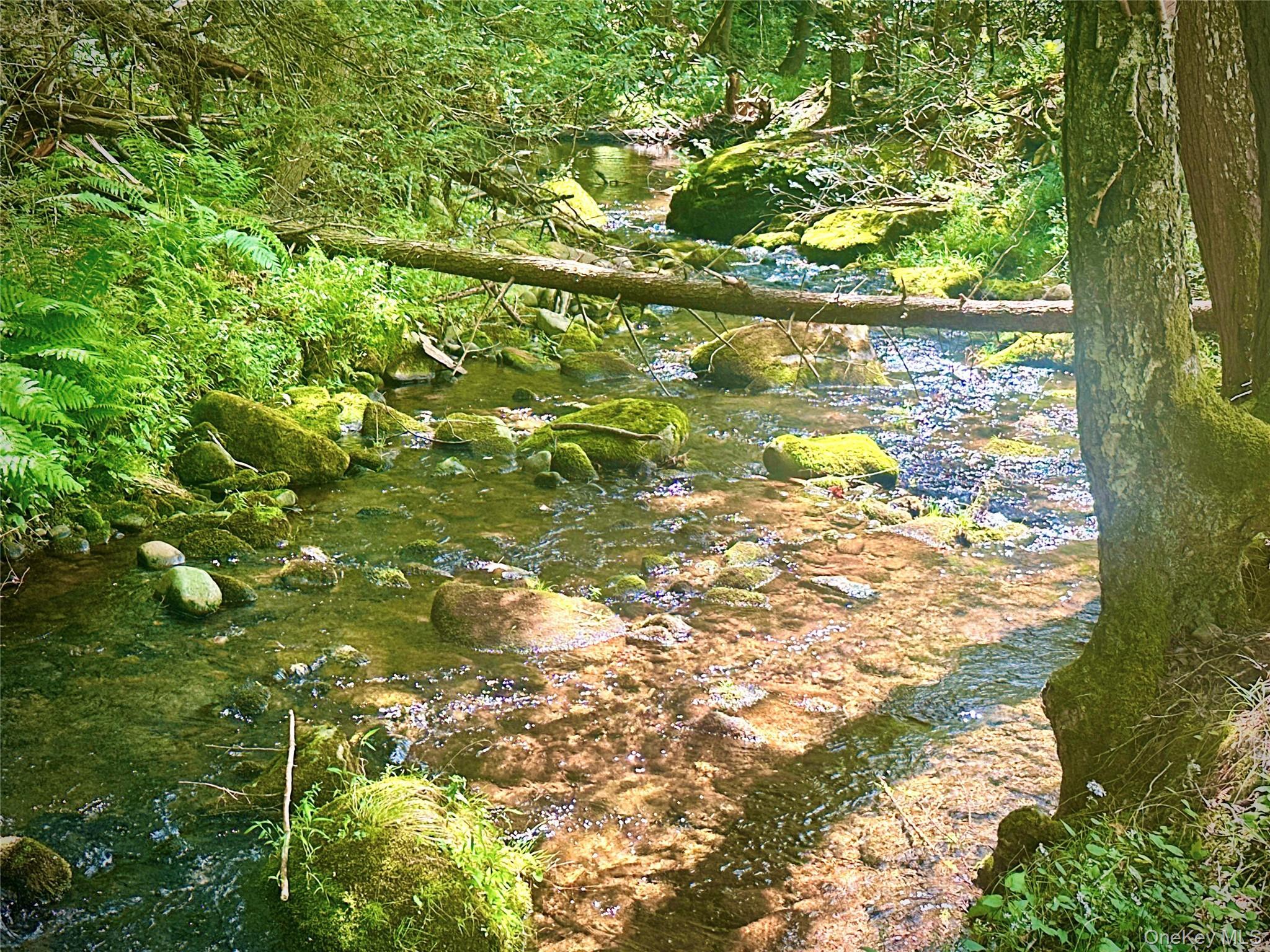 Single Family Pepacton Hollow Road Sullivan County, NY 12740, MLS-1044779-46
