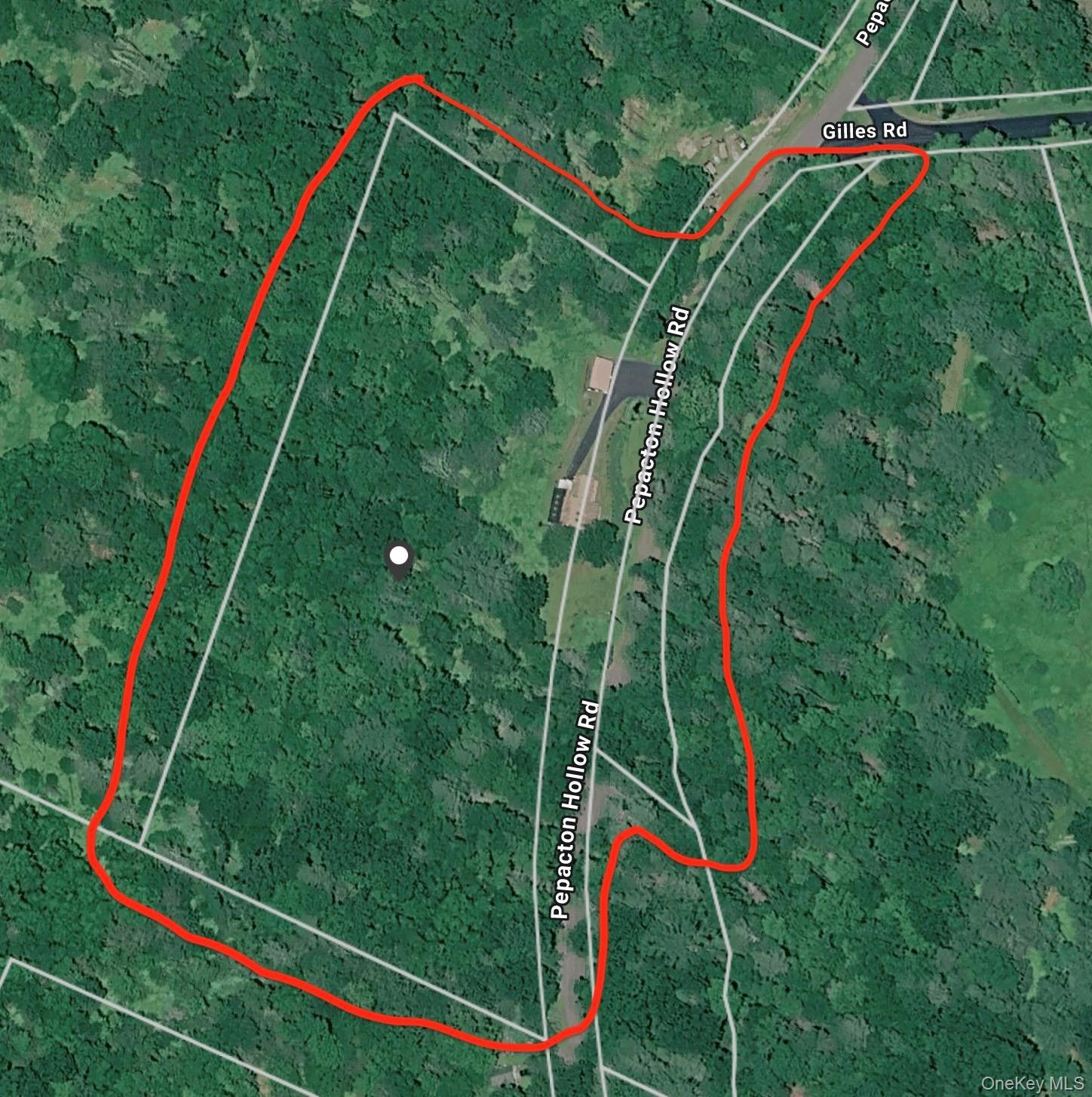 Single Family Pepacton Hollow Road  Sullivan County, NY 12740, MLS-1044779-47