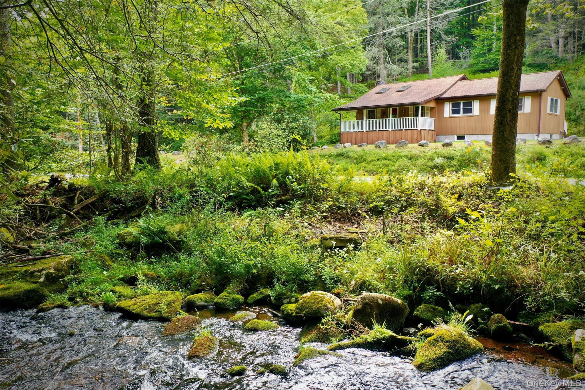 Single Family Pepacton Hollow Road Sullivan County, NY 12740, MLS-1044779-9