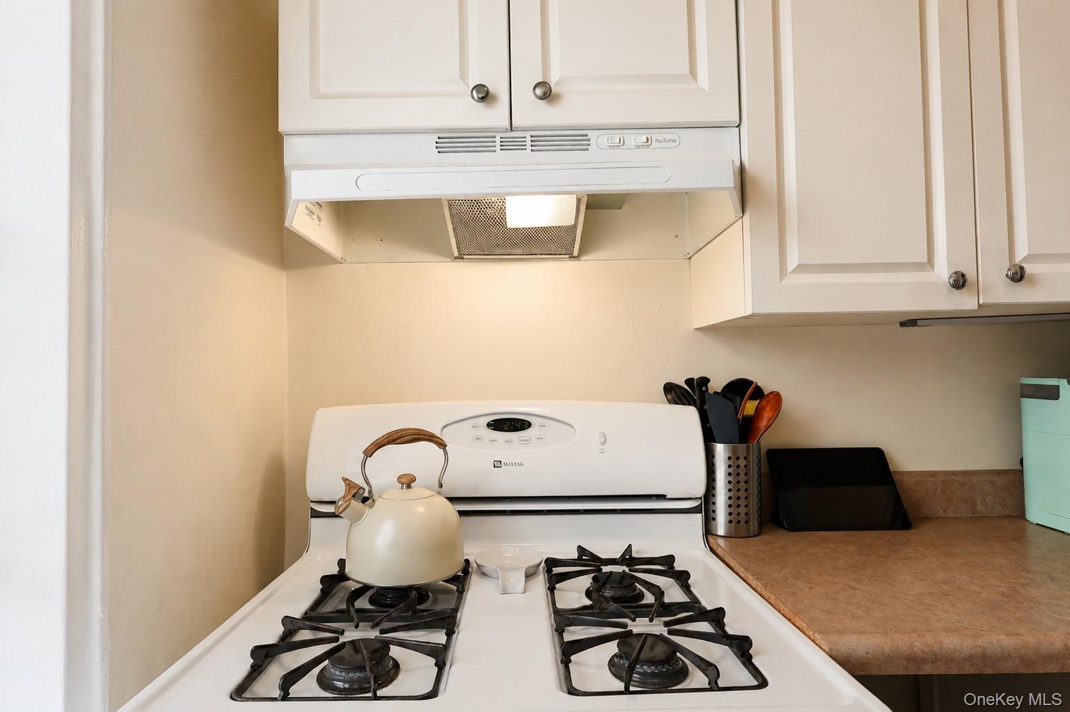 Apartment 66 Avenue Queens, NY 11374, MLS-1044811-14