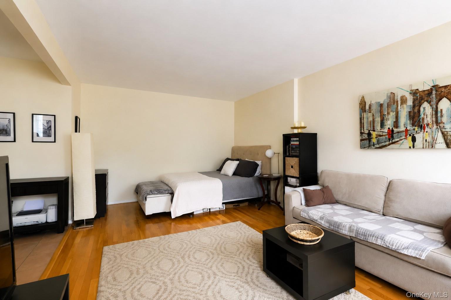 Apartment 66 Avenue Queens, NY 11374, MLS-1044811-8