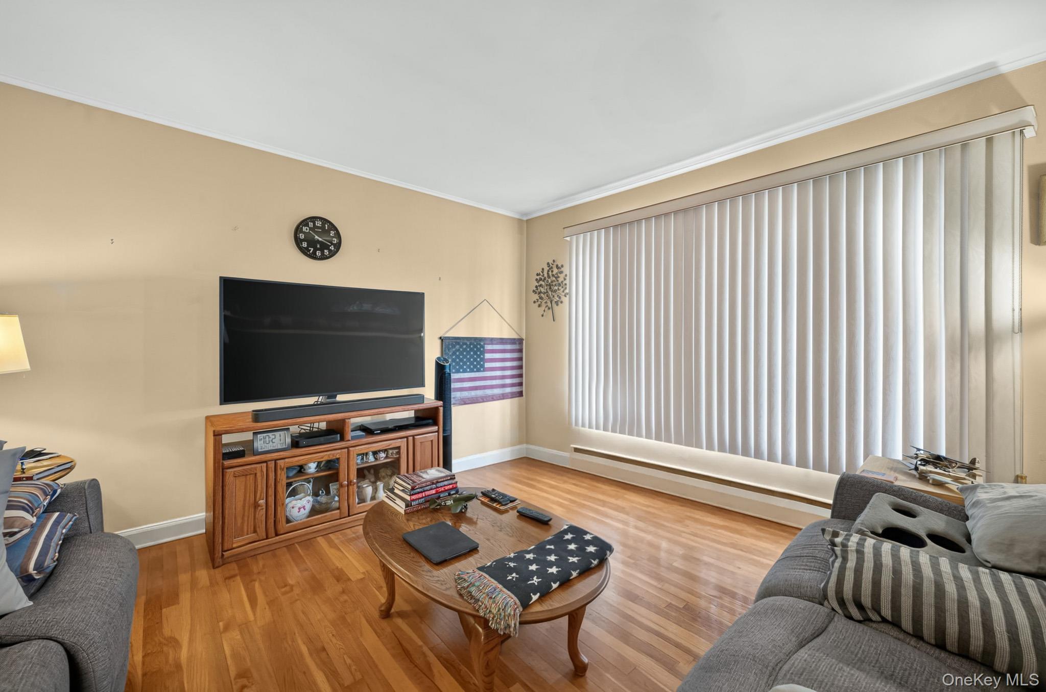 Single Family Elm Avenue Nassau County, NY 11735, MLS-1044843-15