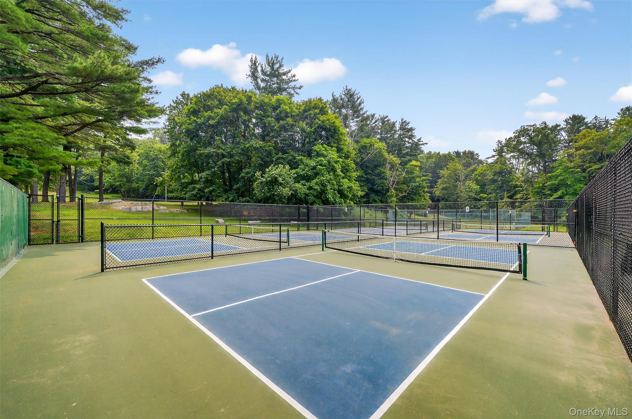 Single Family Scofield Court Westchester County, NY 10566, MLS-1044904-45