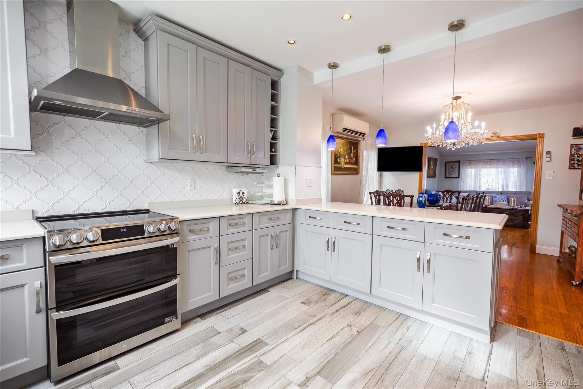 Single Family Lefferts Boulevard Queens, NY 11420, MLS-1044933-8