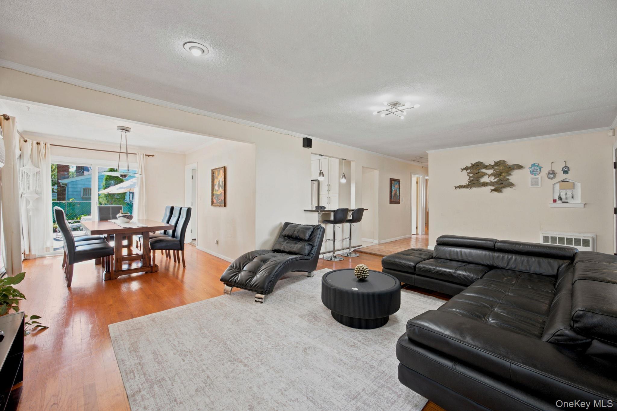Single Family Joseph Street Nassau County, NY 11040, MLS-1044948-7
