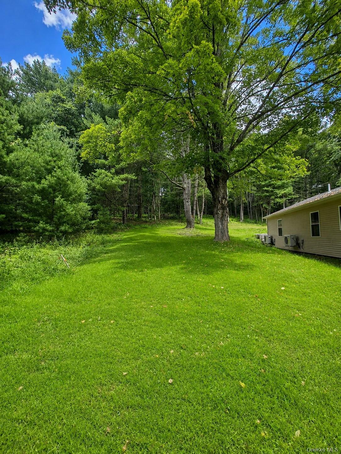 Single Family State Route 55 Sullivan County, NY 12732, MLS-1045115-31