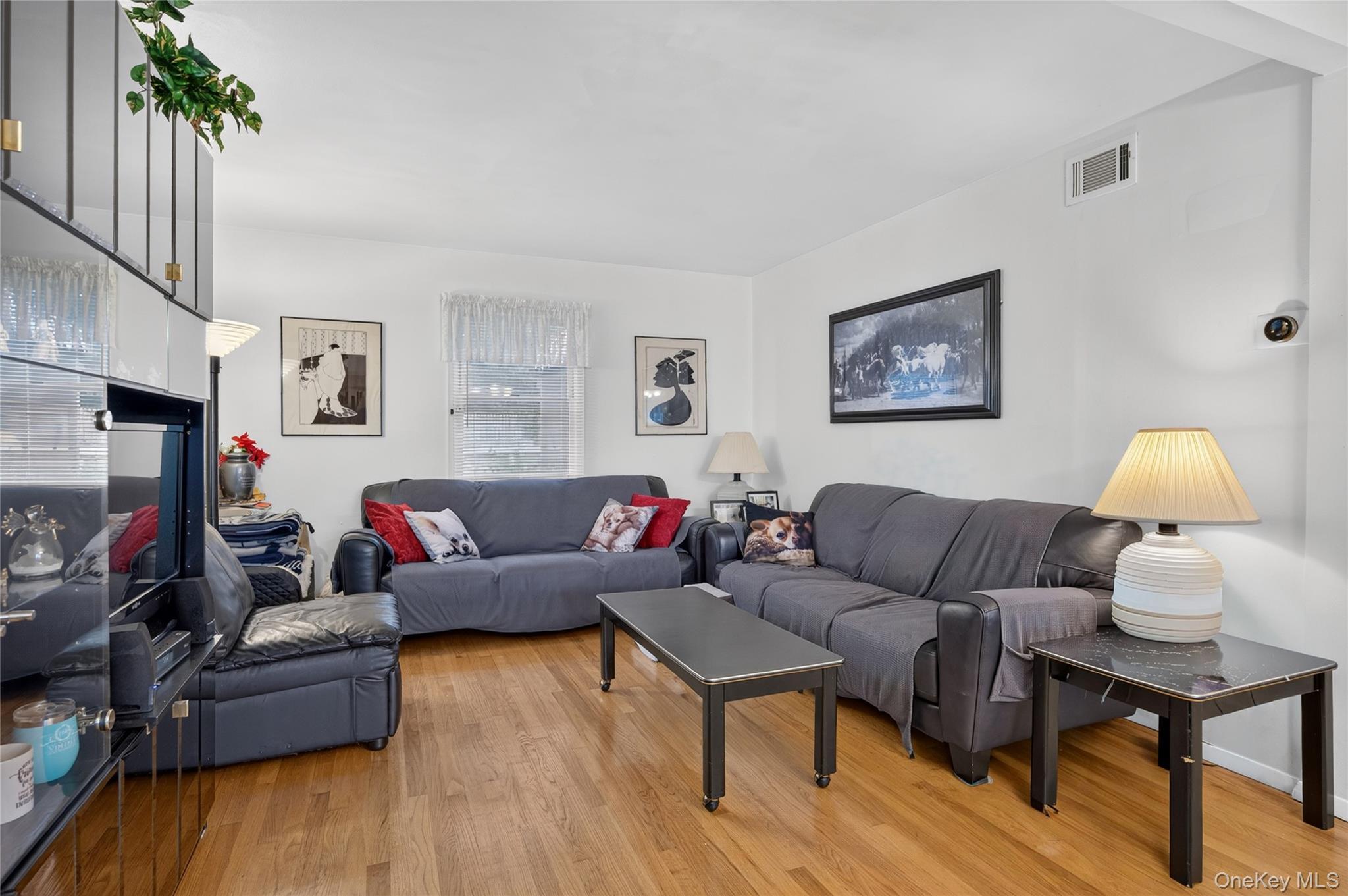Single Family Jamaica Boulevard  Nassau County, NY 11514, MLS-1045132-4