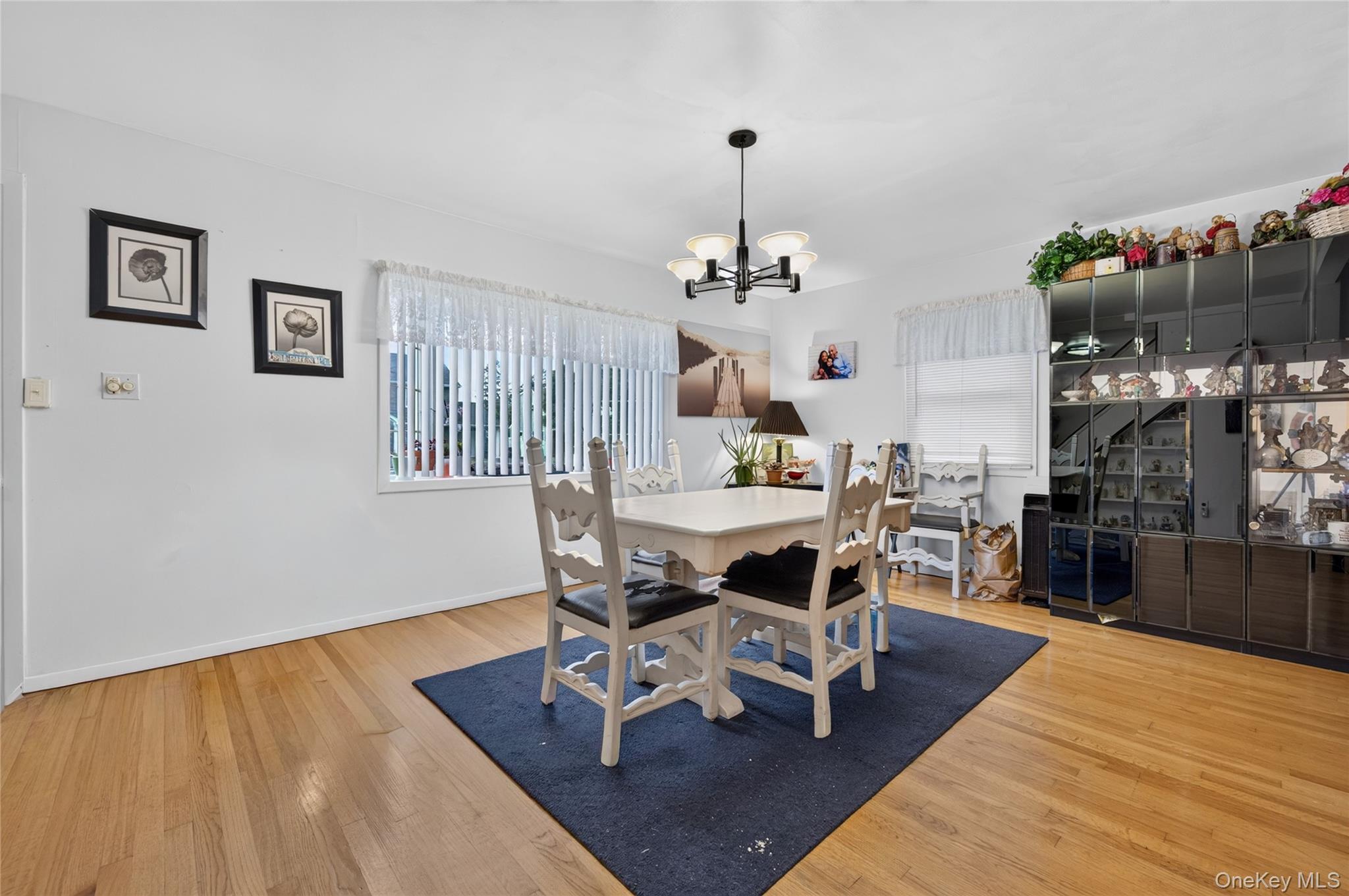 Single Family Jamaica Boulevard  Nassau County, NY 11514, MLS-1045132-6