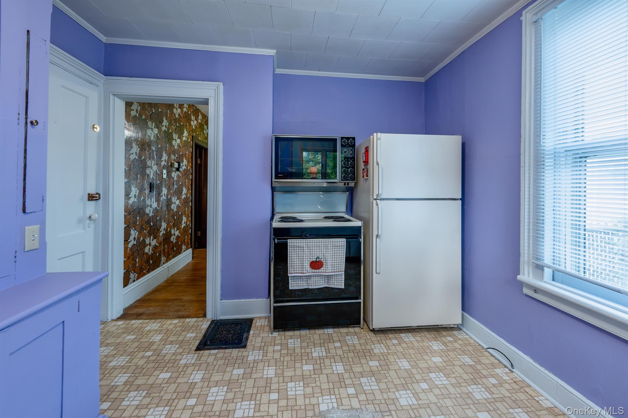 Single Family Henry Street Ulster County, NY 12401, MLS-1045165-16