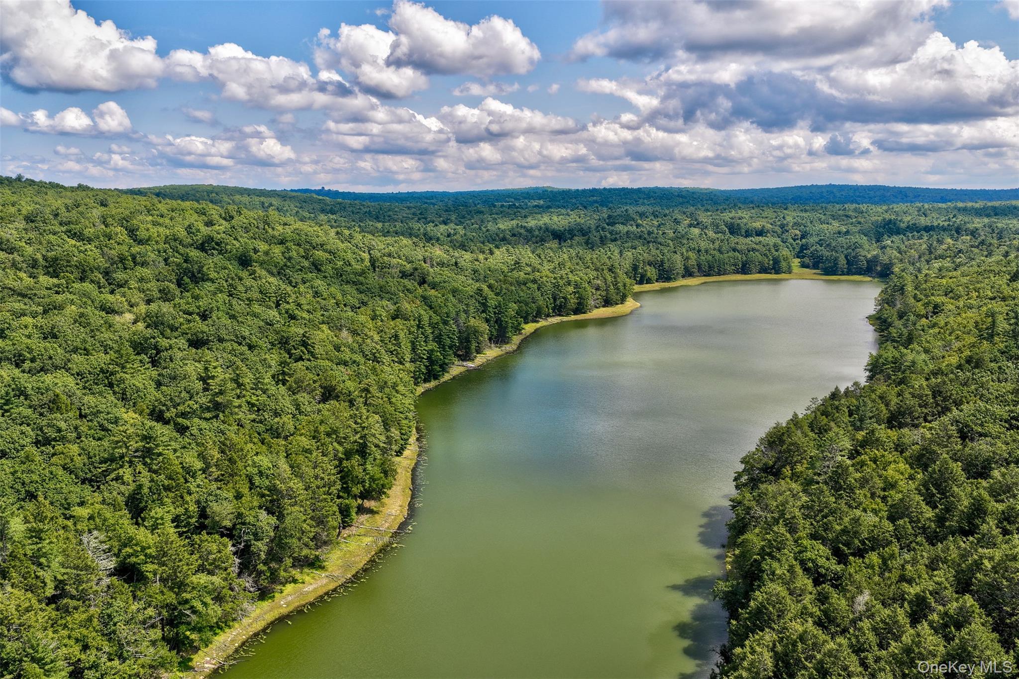 Single Family Mahls Pond Road Sullivan County, NY 12764, MLS-1045177-42
