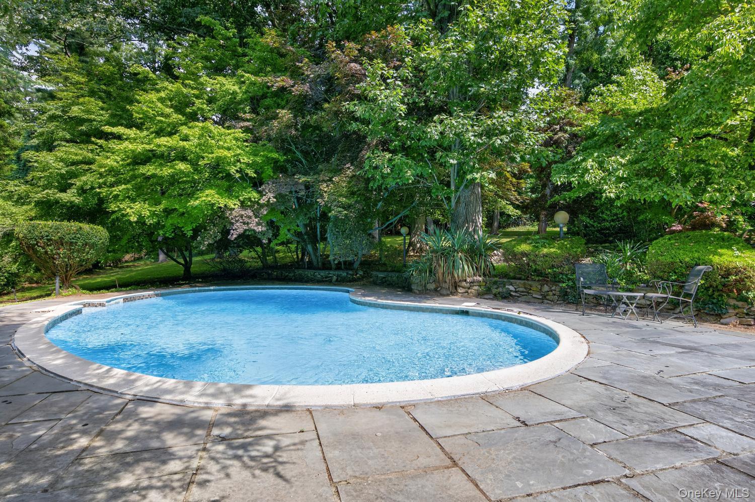 Single Family Dorchester Drive  Nassau County, NY 11545, MLS-1045194-27