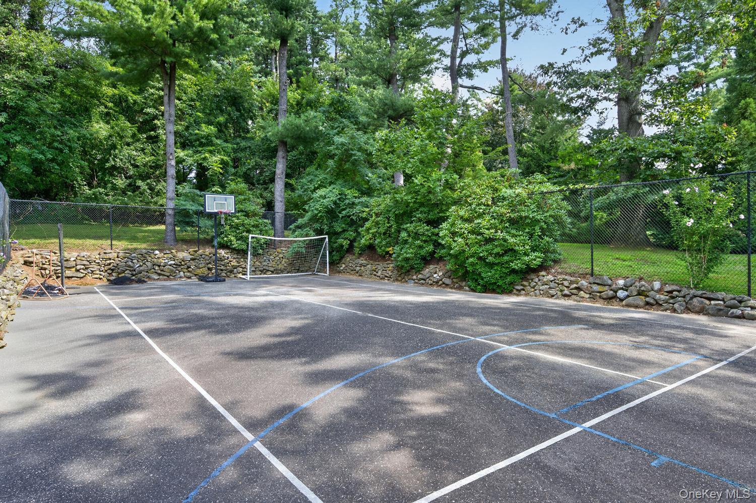 Single Family Dorchester Drive  Nassau County, NY 11545, MLS-1045194-30