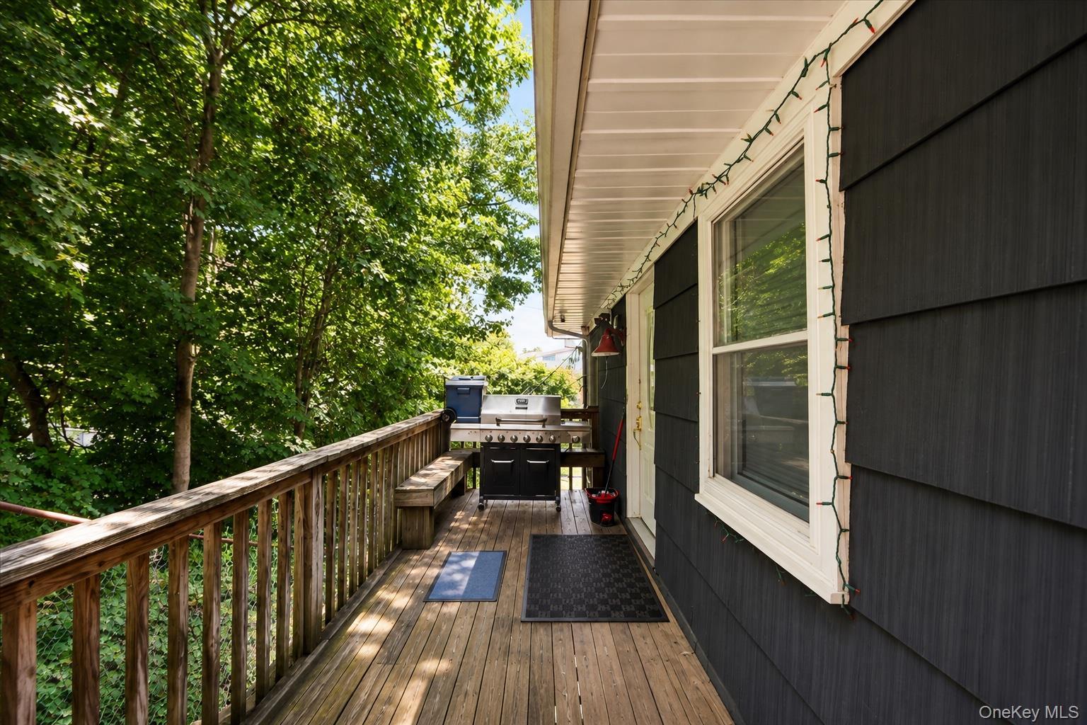 Single Family Raybrook Rd  Westchester County, NY 10704, MLS-1045200-18