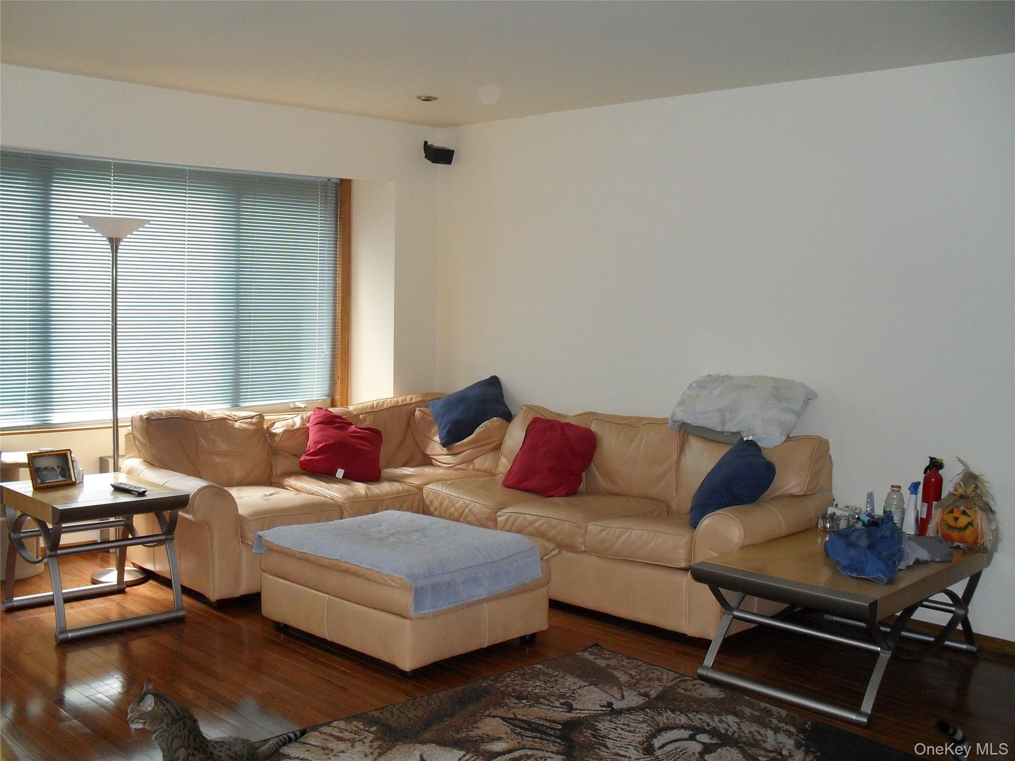 Single Family Union Turnpike Queens, NY 11385, MLS-1045250-3