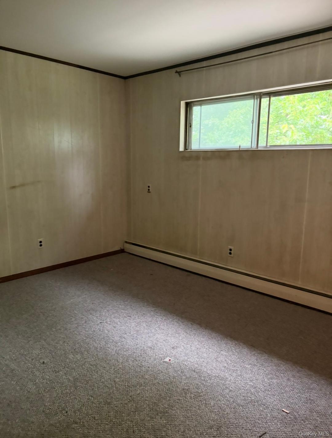 Single Family Cherokee Street Nassau County, NY 11758, MLS-1045287-10