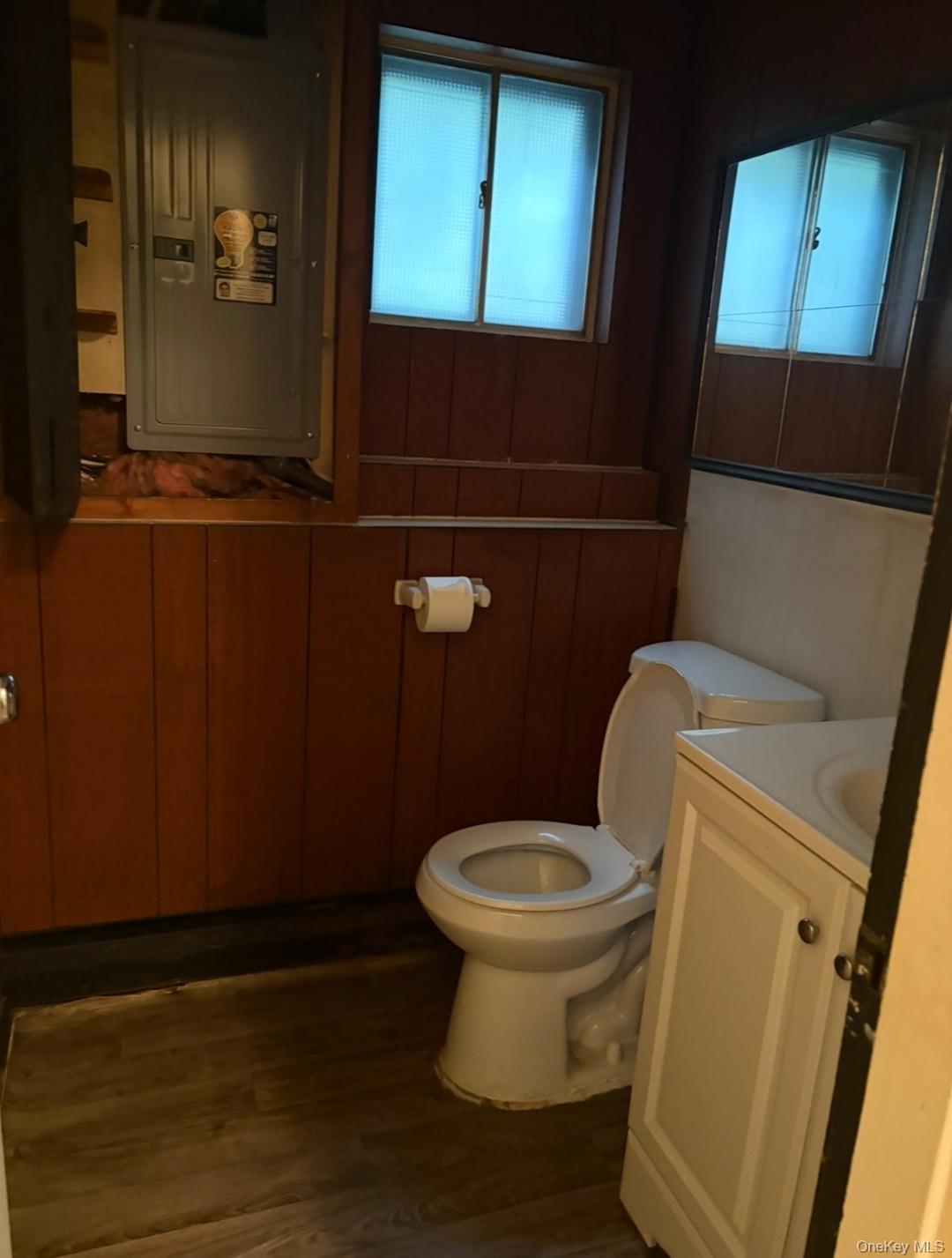 Single Family Cherokee Street Nassau County, NY 11758, MLS-1045287-17