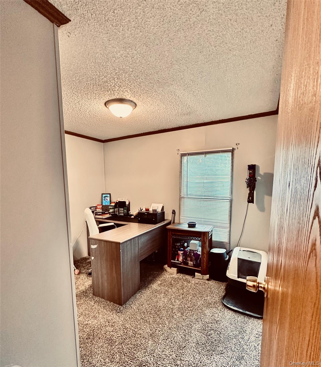 Single Family Water Loop  Dutchess County, NY 12569, MLS-1045313-14