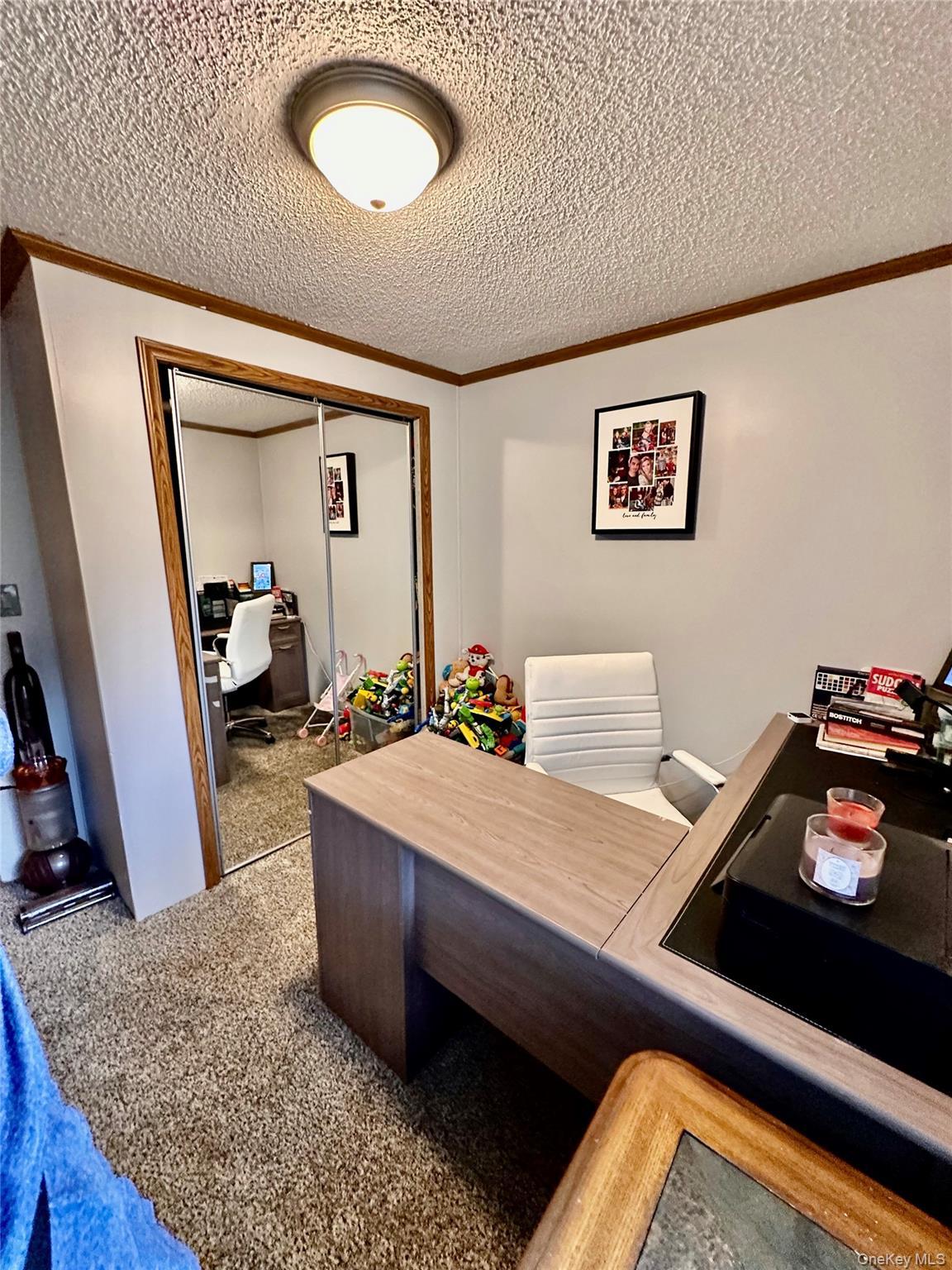 Single Family Water Loop  Dutchess County, NY 12569, MLS-1045313-15