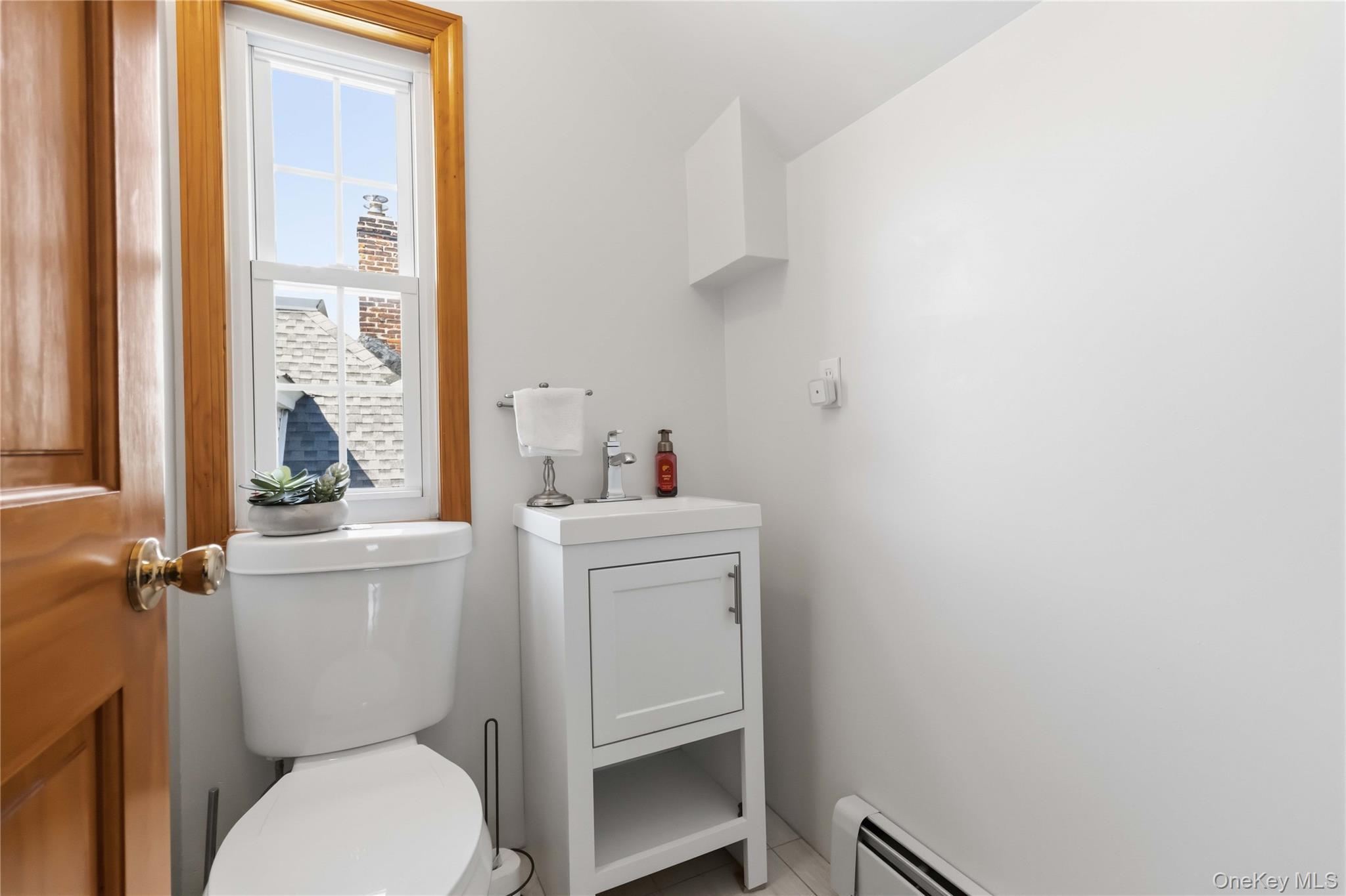 Single Family Ericsson Street  Queens, NY 11369, MLS-1045315-38