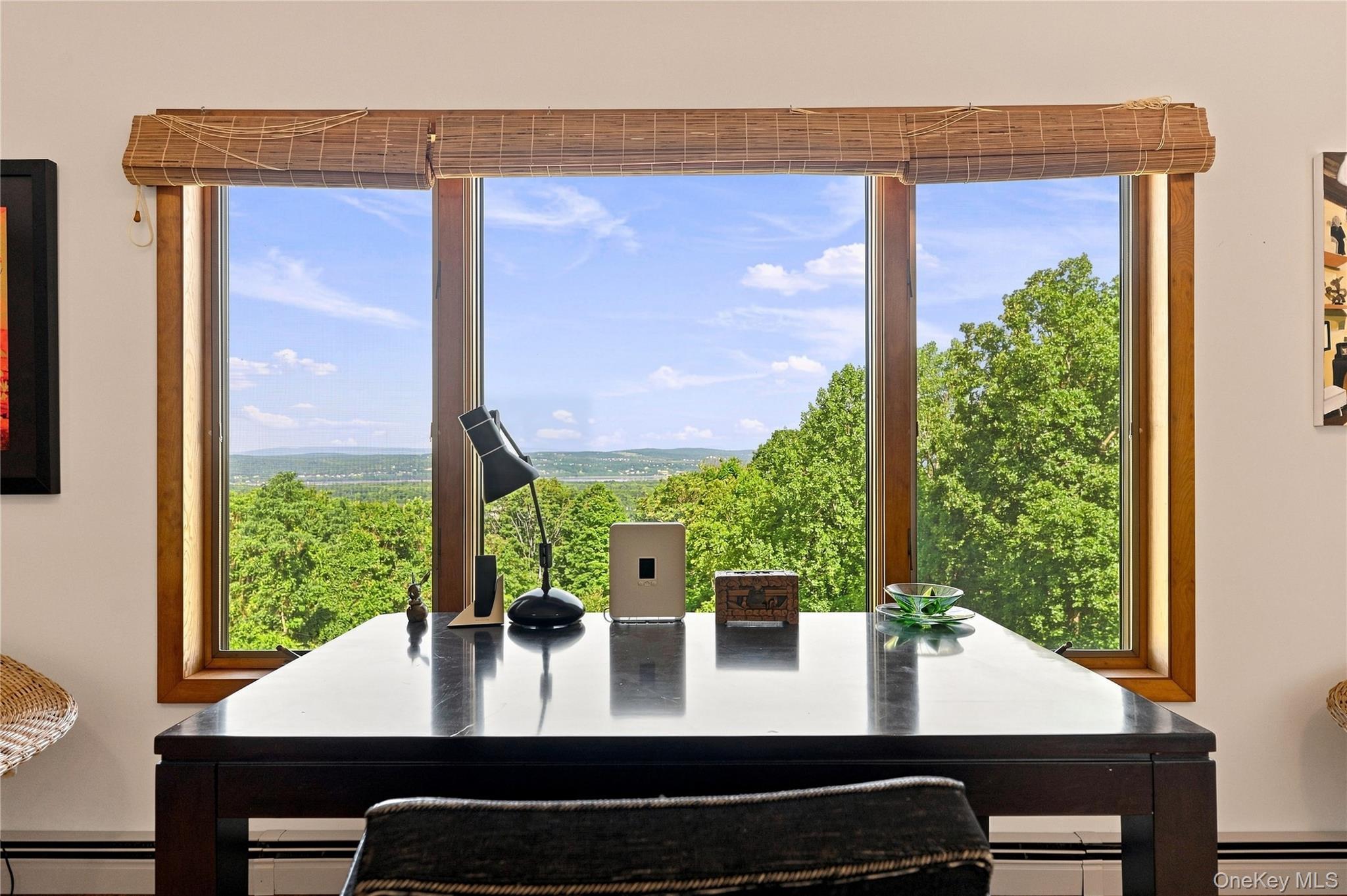 Single Family Blue Grass Lane  Dutchess County, NY 12508, MLS-1045332-10