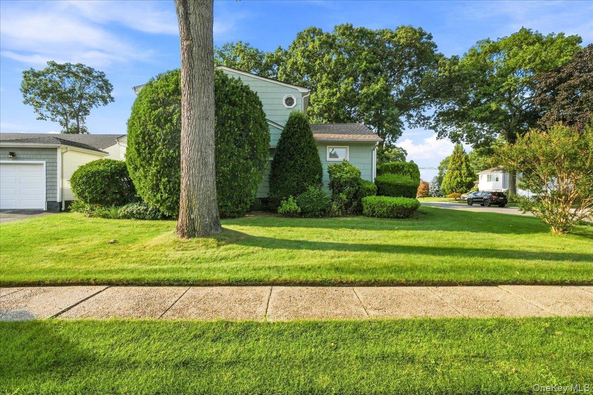 Single Family Meadow Lane Nassau County, NY 11783, MLS-1045377-5