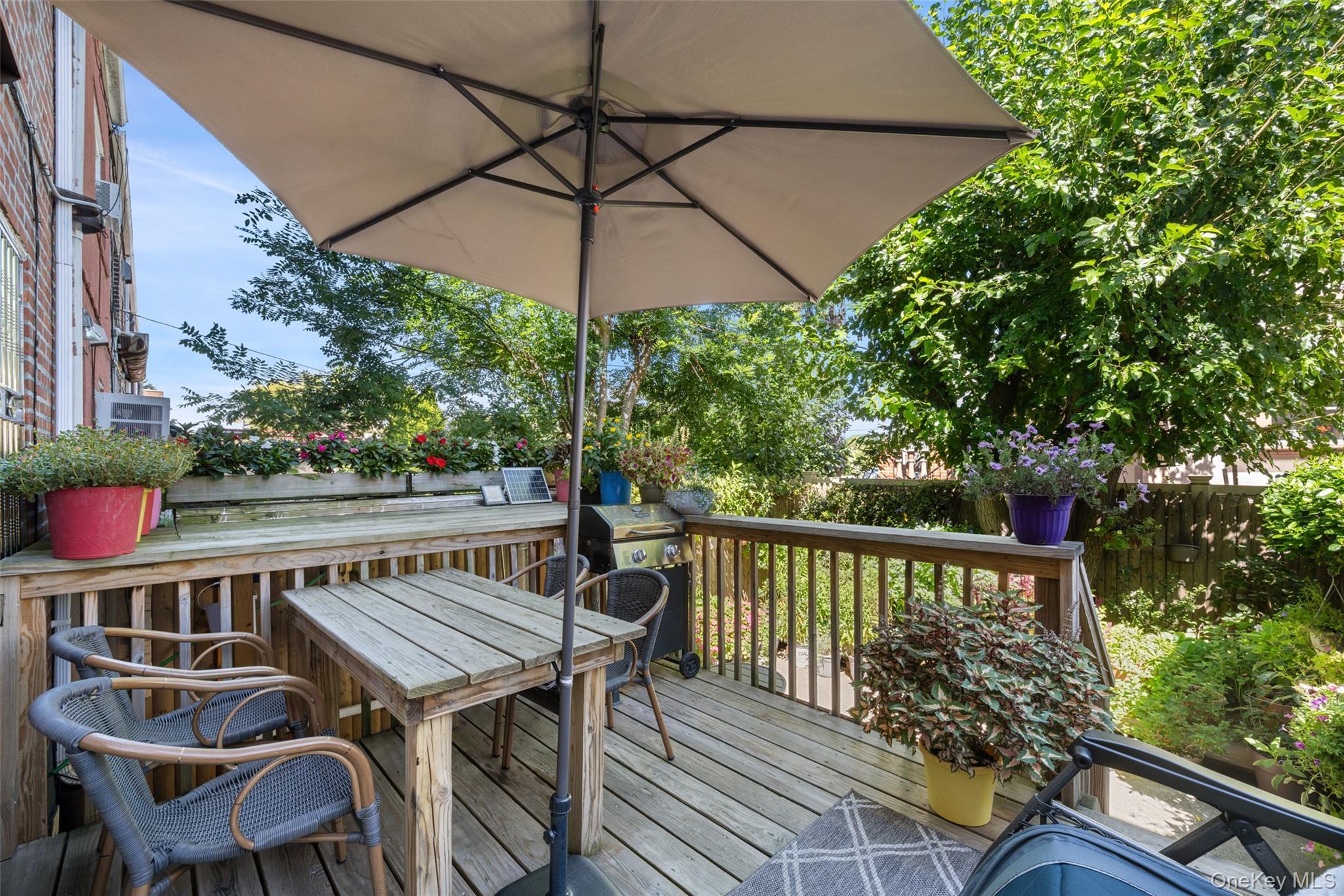 Single Family Furmanville Avenue  Queens, NY 11379, MLS-1045378-23