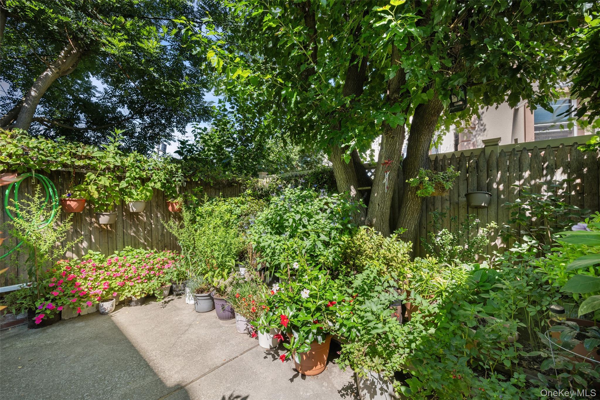 Single Family Furmanville Avenue  Queens, NY 11379, MLS-1045378-24