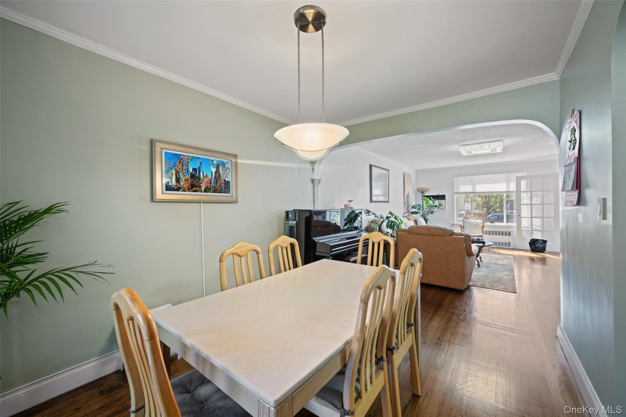 Single Family Furmanville Avenue  Queens, NY 11379, MLS-1045378-8