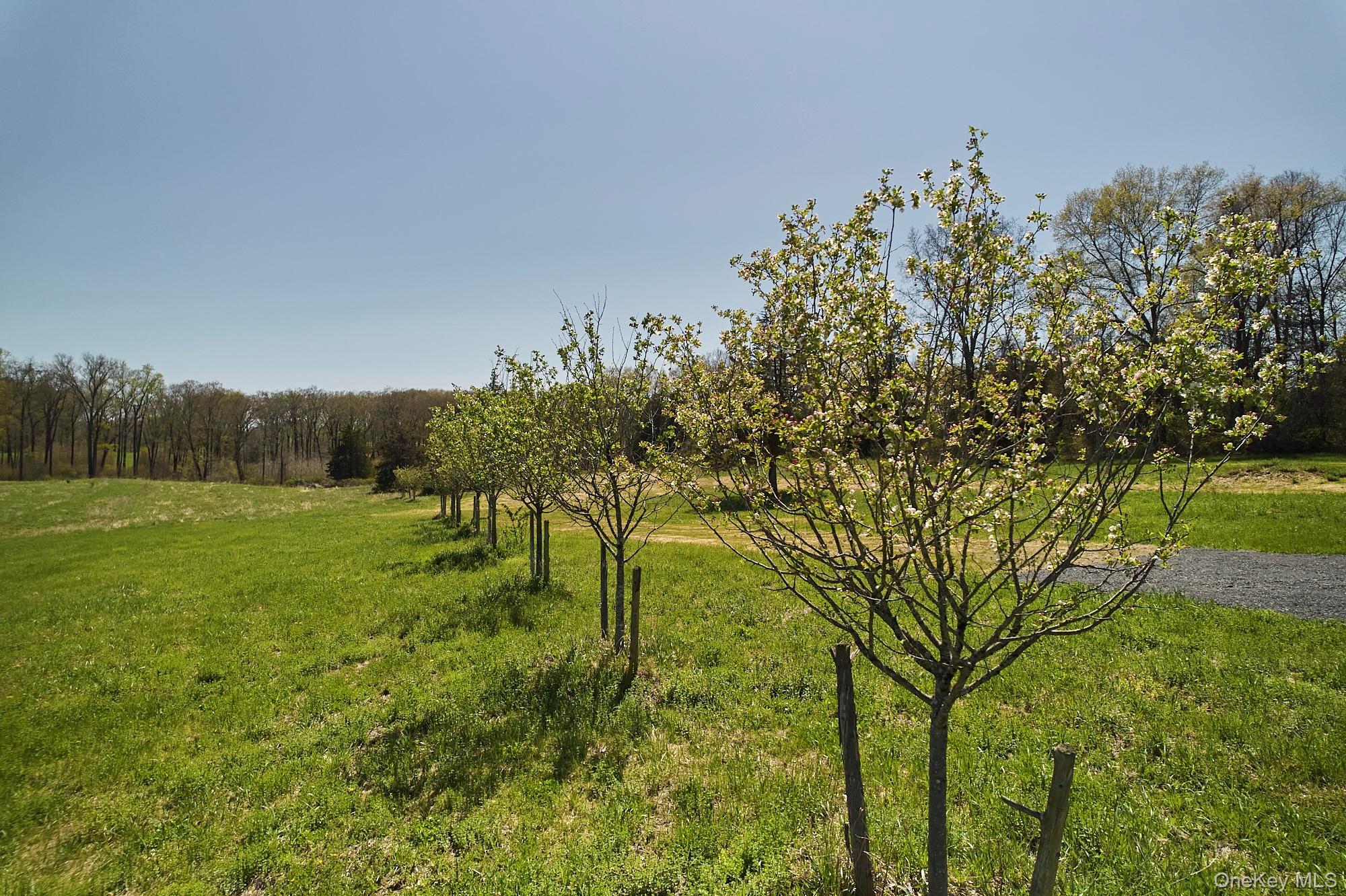 Single Family Fox Lane Dutchess County, NY 12583, MLS-1045384-34