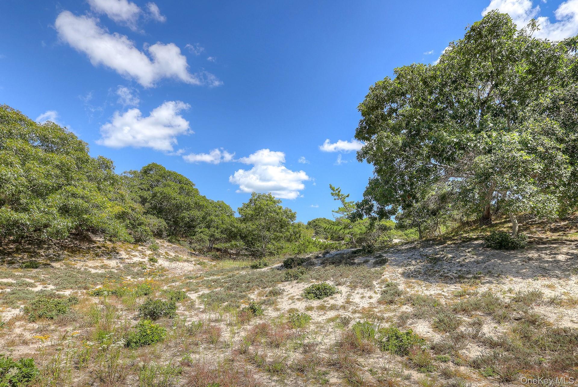 Single Family Cliff Road  Suffolk County, NY 11930, MLS-1045420-22